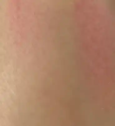 언니의파우치 리뷰 이미지 2 - [블루밍 에디션 파라다이스 듀얼 팔레트 블러셔 듀오]