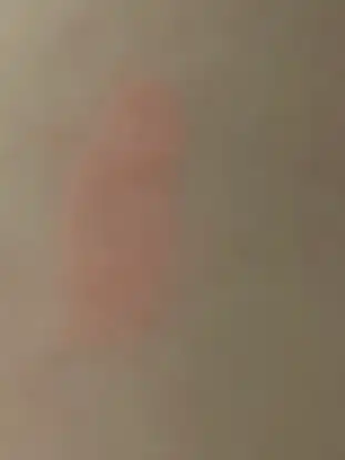 언니의파우치 리뷰 이미지 2 - [퍼스널 톤 쿠션 블러셔]