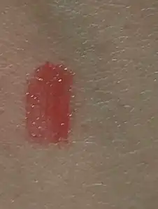 언니의파우치 리뷰 이미지 2 - [어딕트 립 틴트]
