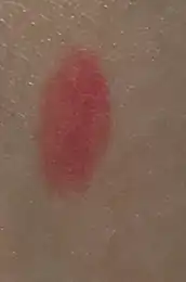 언니의파우치 리뷰 이미지 2 - [레트로 매트 립스틱]