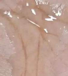 언니의파우치 리뷰 이미지 2 - [퓨어 클렌징 오일]