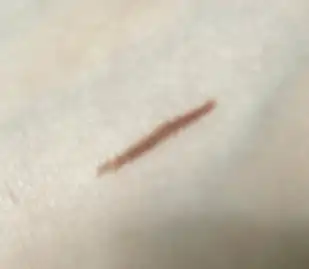 언니의파우치 리뷰 이미지 2 - [샤프 쏘 심플 워터프루프 펜슬라이너]