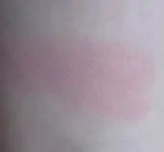 언니의파우치 리뷰 이미지 2 - [(로즈 에디션) 맑게 물든 선샤인 치크]