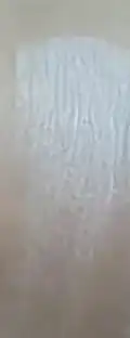 언니의파우치 리뷰 이미지 2 - [오 파우더 팩트]
