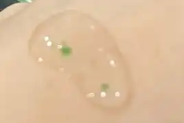 언니의파우치 리뷰 이미지 2 - [어성초 테카 캡슐 세럼 카밍 드롭]