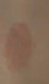 언니의파우치 리뷰 이미지 2 - [듀이 립 글레이즈]