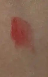 언니의파우치 리뷰 이미지 2 - [캐시미어 허그 립스틱]