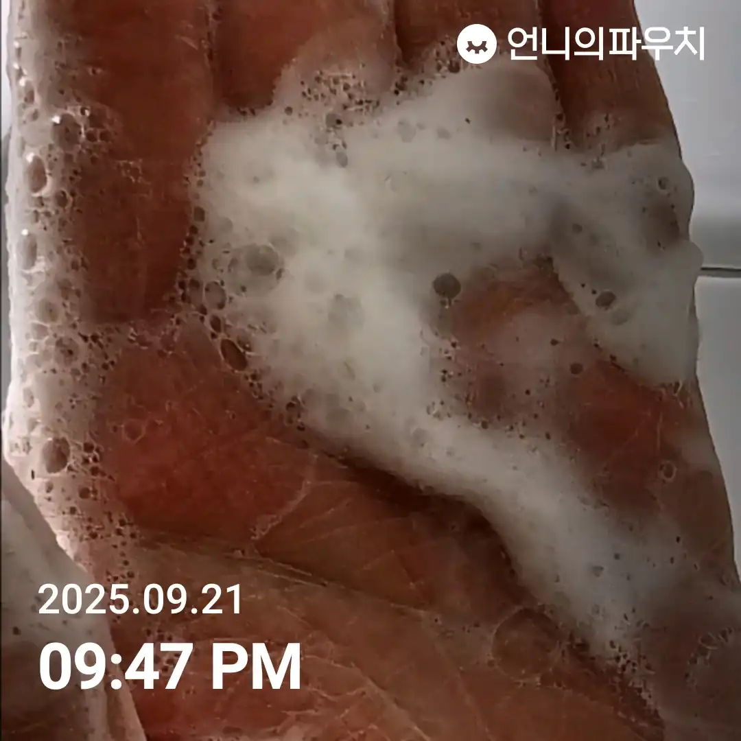 언니의파우치 리뷰 이미지 - [화산송이 바하 모공 클렌징 폼]