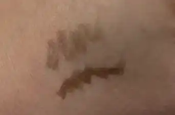언니의파우치 리뷰 이미지 2 - [2X 쌩얼라이너 [01 소프트 딥 브라운]]
