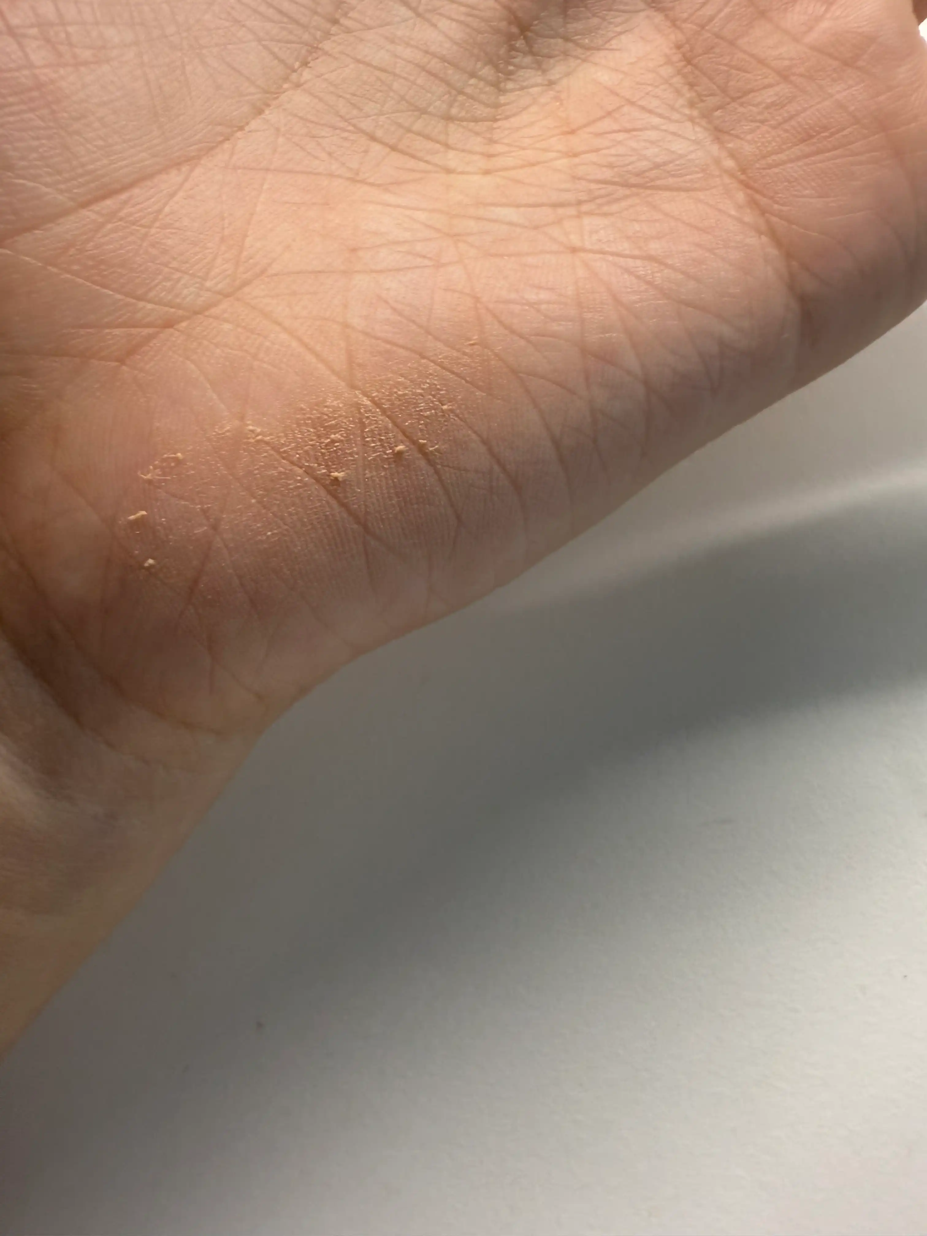 도트 온 무드 올 커버 립 베이스