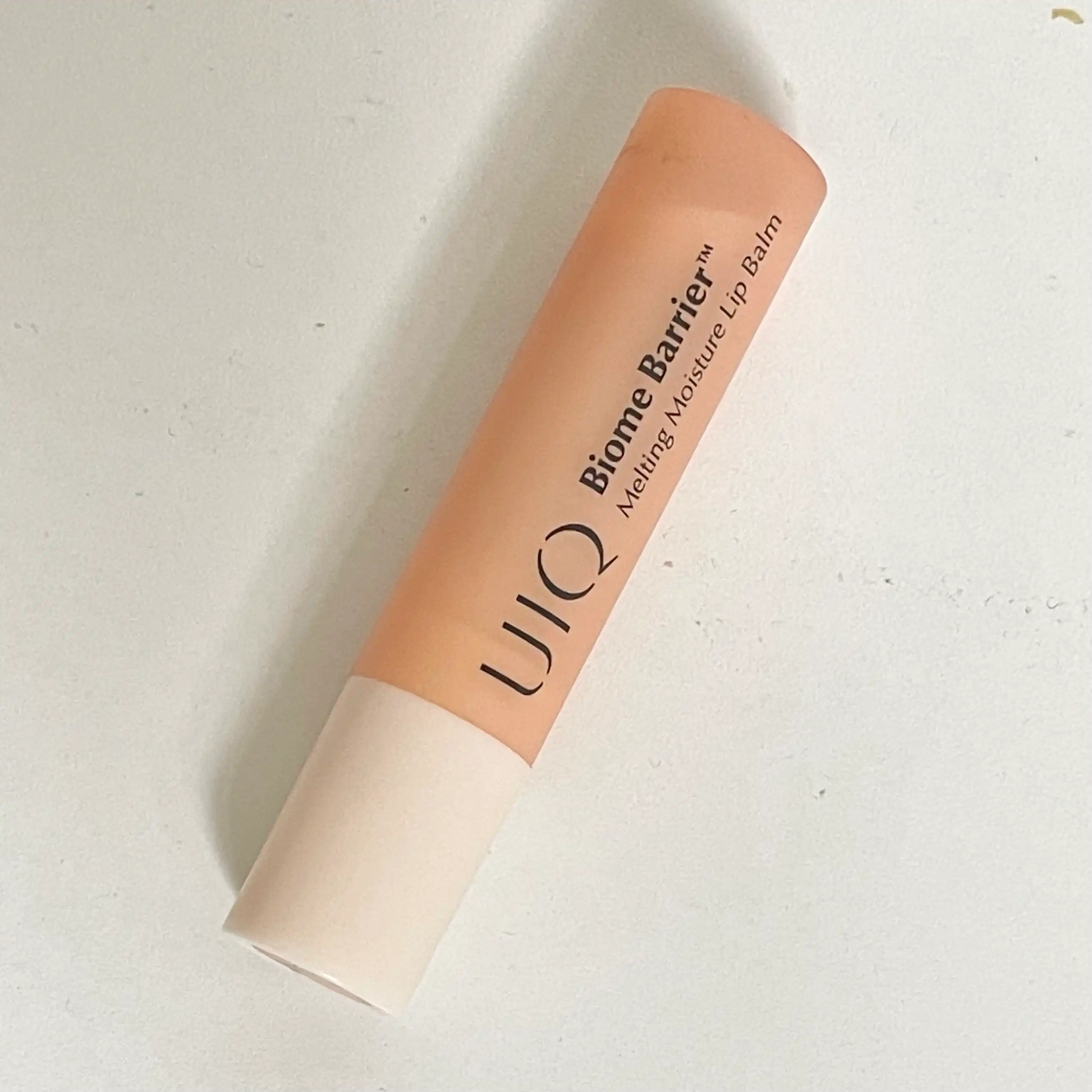 바이옴 베리어 멜팅 모이스처 립밤