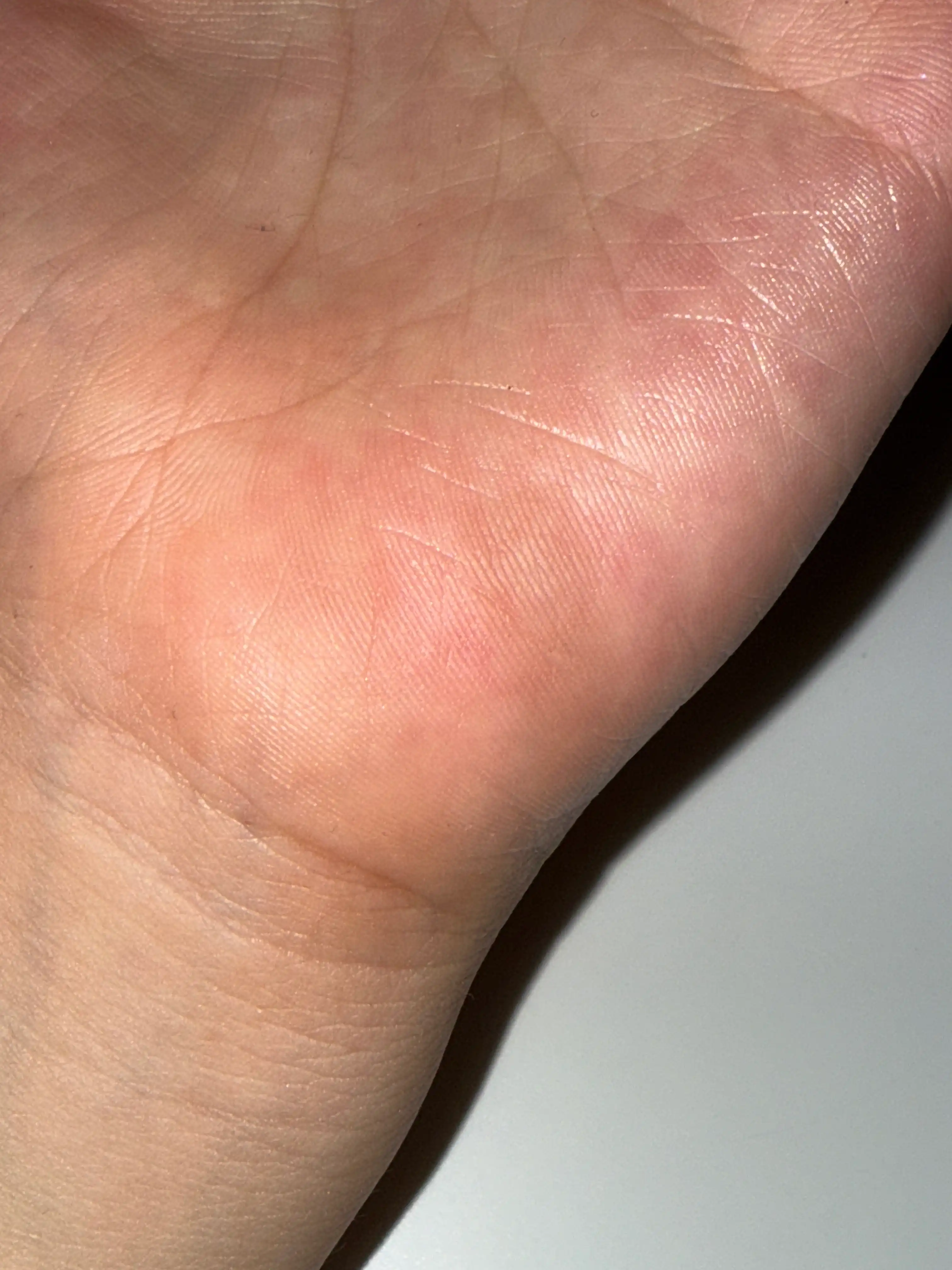 언니의파우치 리뷰 이미지 3 - [그림자 쉐딩 [01 재창조]]