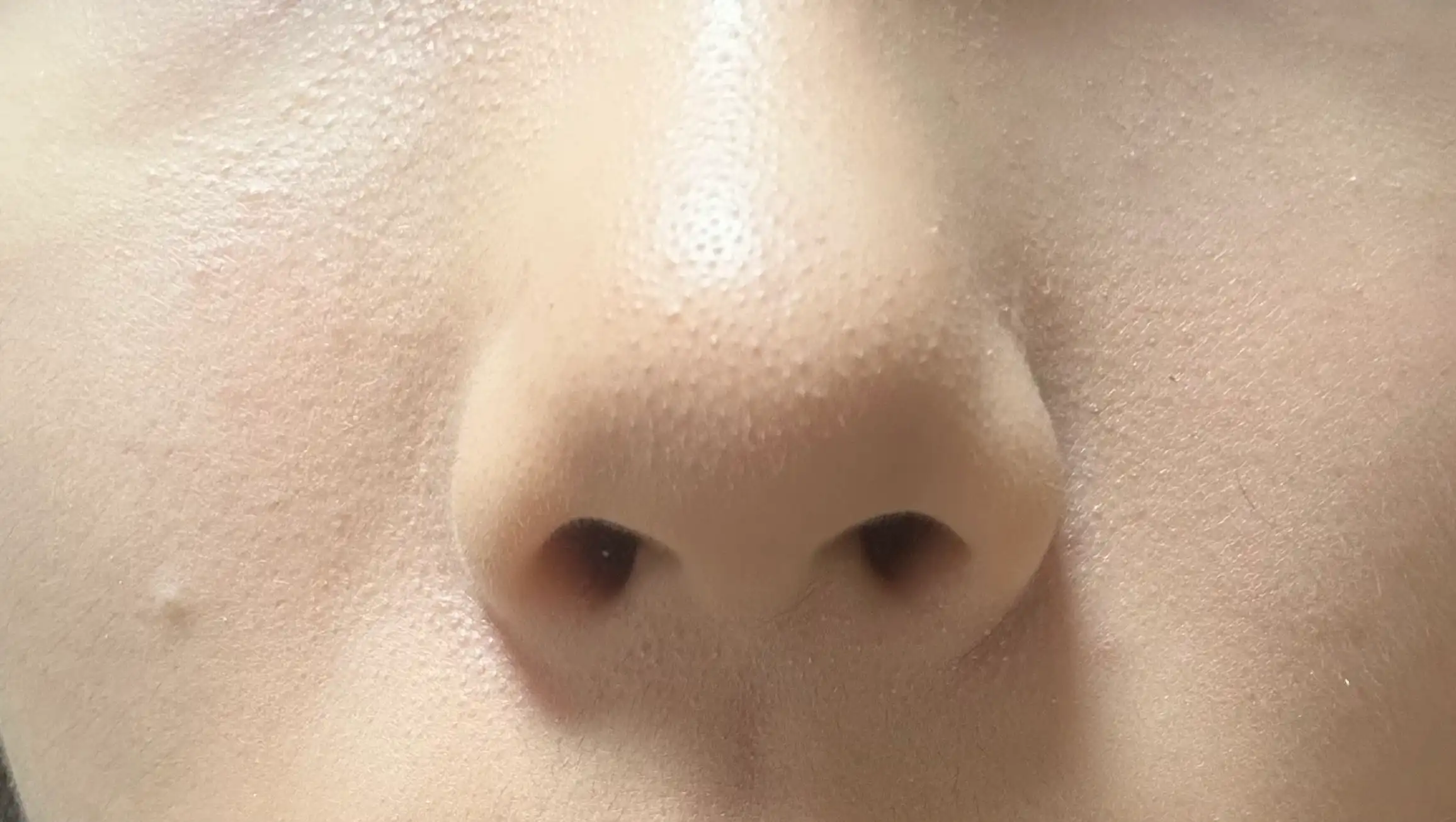 언니의파우치 리뷰 이미지 2 - [비건 노즈 쉐딩 브러시]