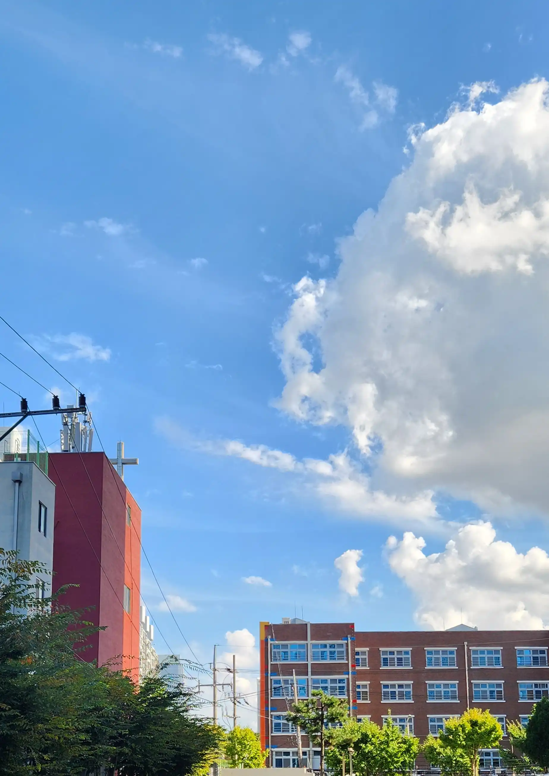 언니의파우치 리뷰 이미지 2 - [시그니춰 데일리 메이크업 리무버 티슈]