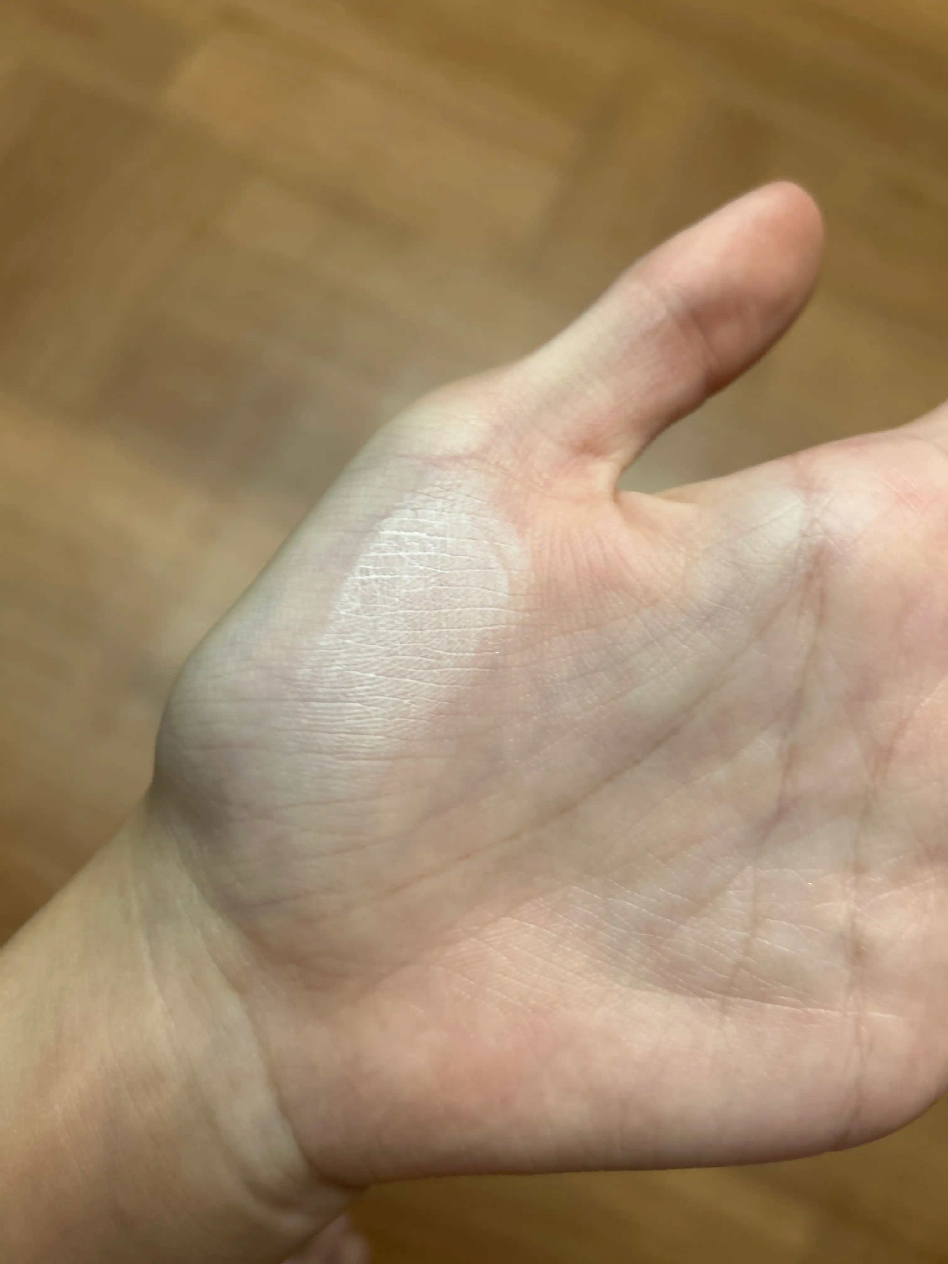 언니의파우치 리뷰 이미지 3 - [블러 파우더 팩트]