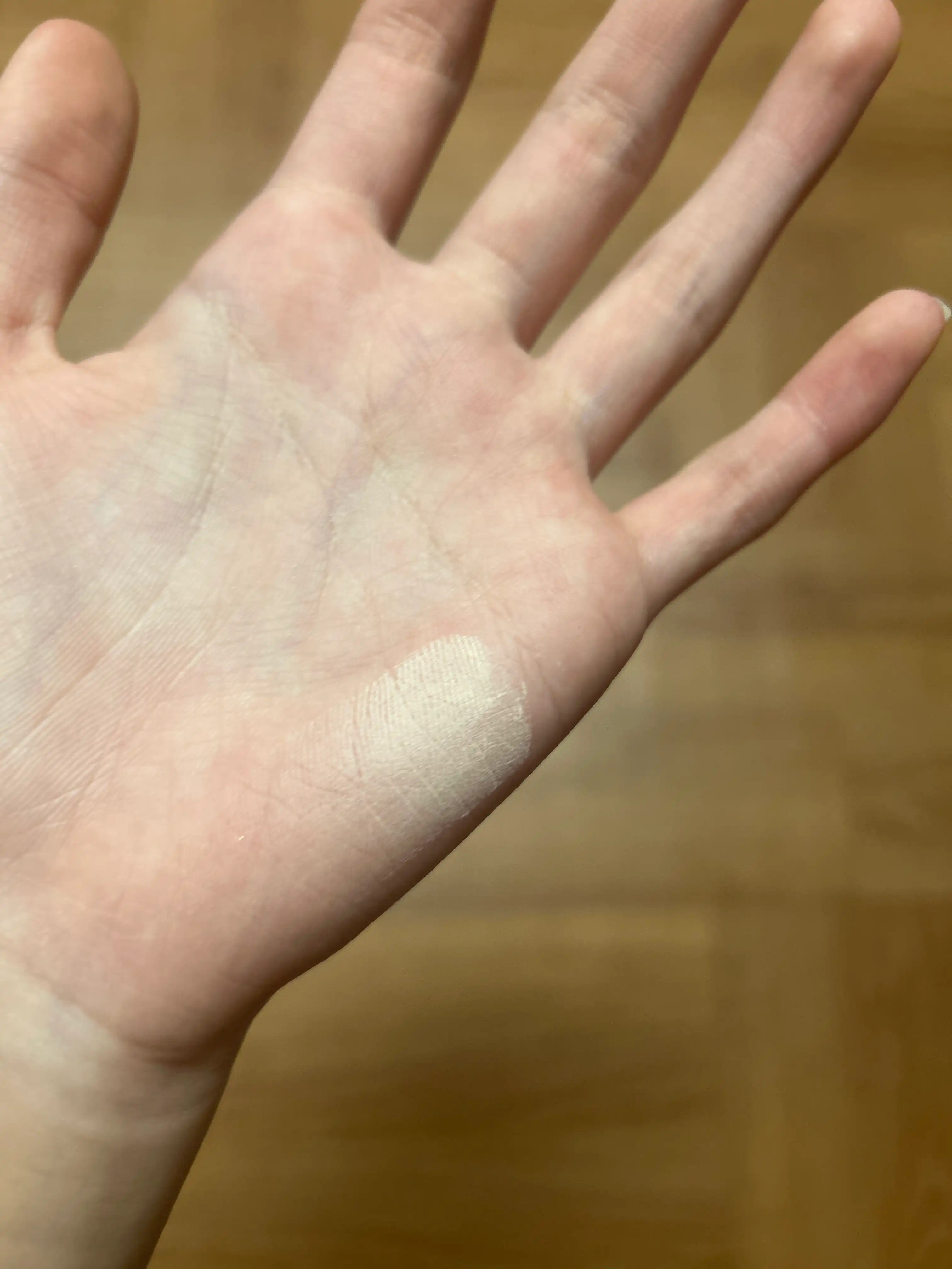 언니의파우치 리뷰 이미지 3 - [블러 파우더 팩트]