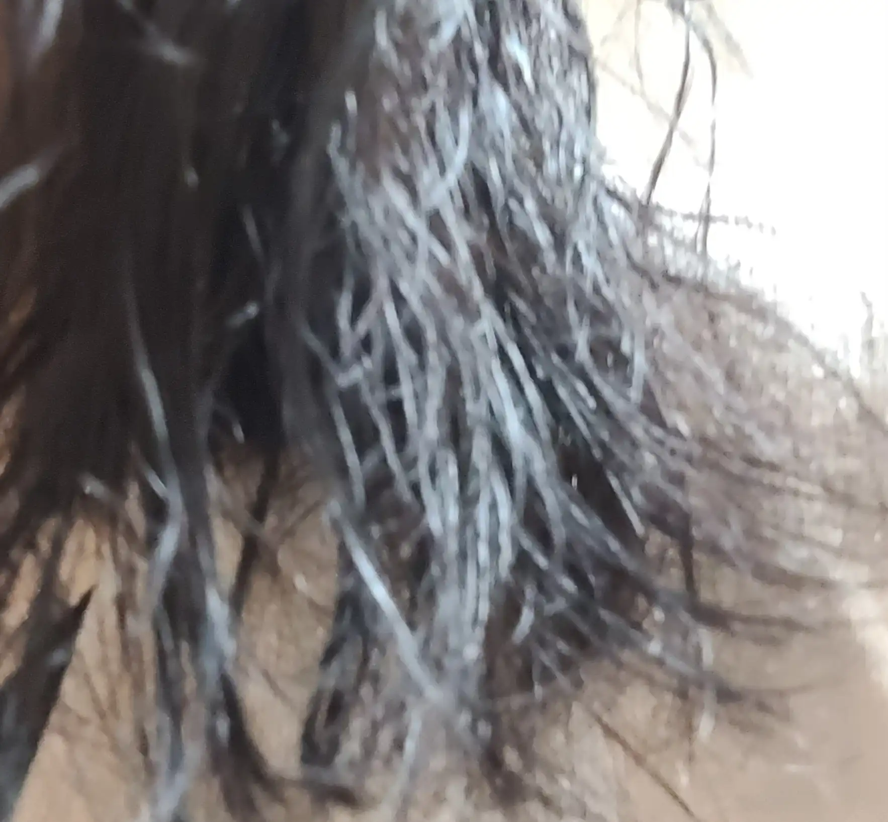 언니의파우치 리뷰 이미지 4 - [루트젠 여성 맞춤 탈모증상전문케어 트리트먼트]