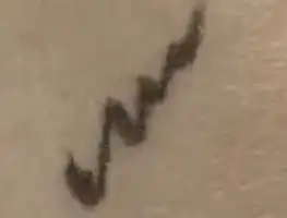 언니의파우치 리뷰 이미지 2 - [퍼펙트 슬림 아이펜슬]