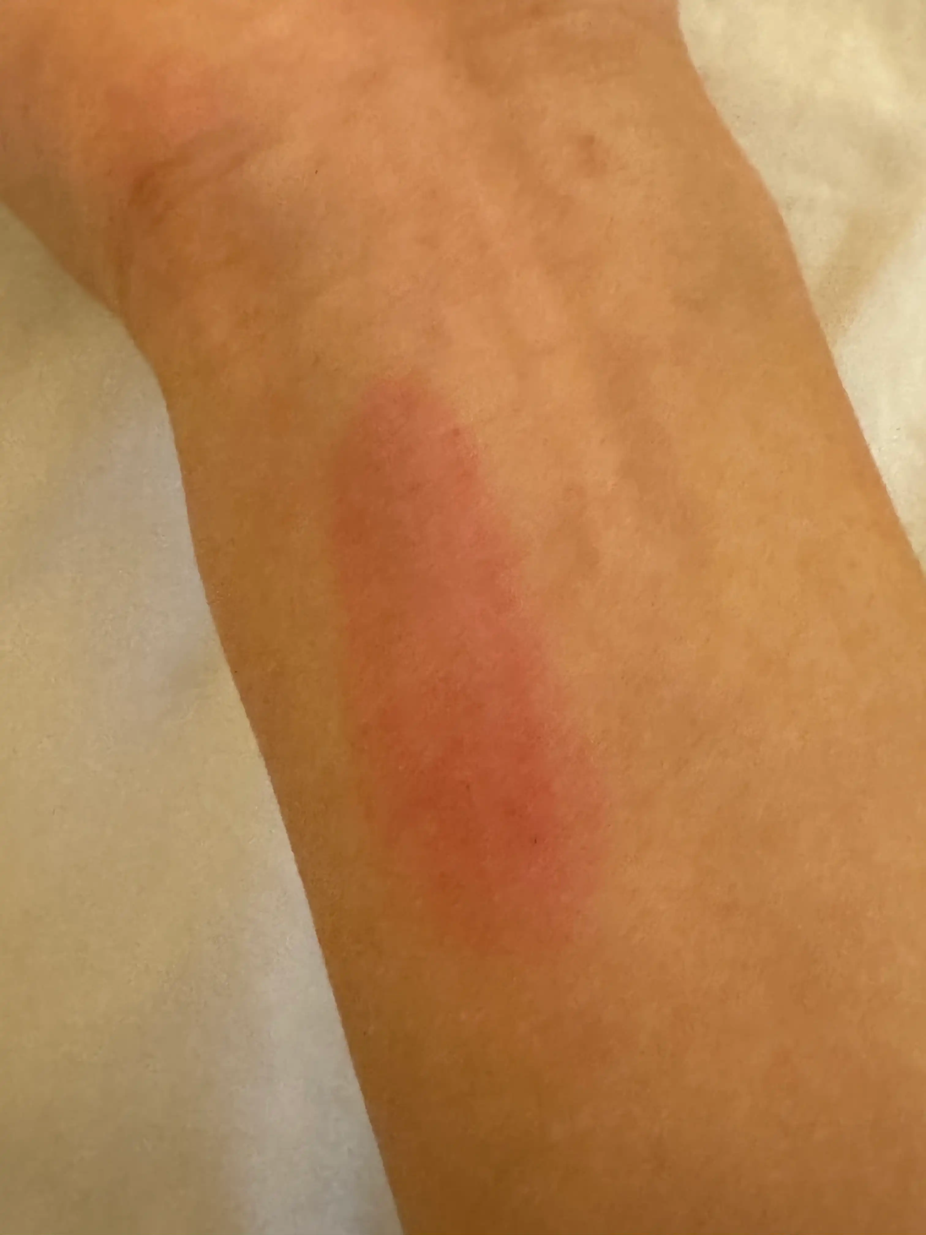 언니의파우치 리뷰 이미지 2 - [컬러 립밤]