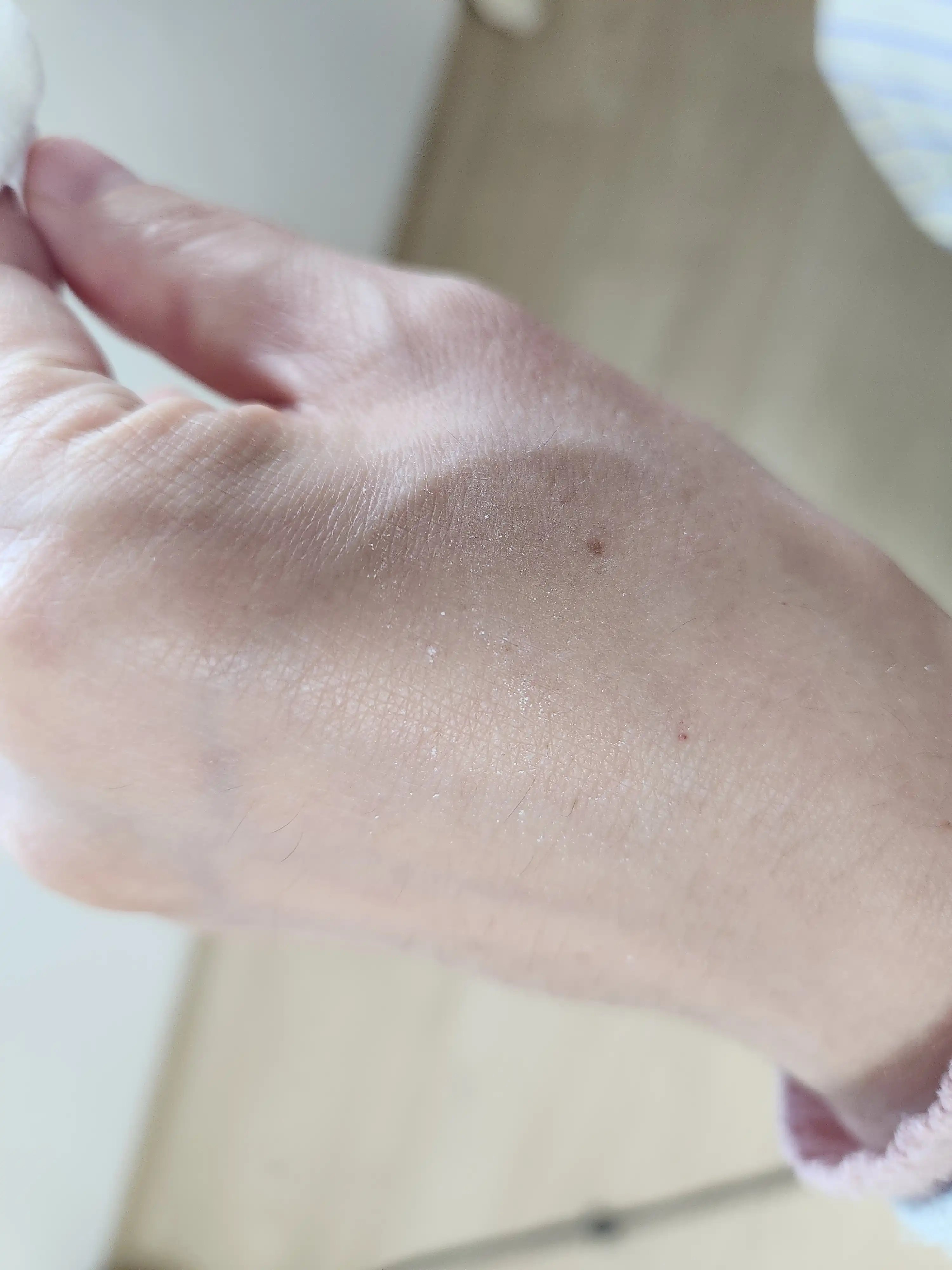 언니의파우치 리뷰 이미지 3 - [플로라 노세범 파우더 팩트]