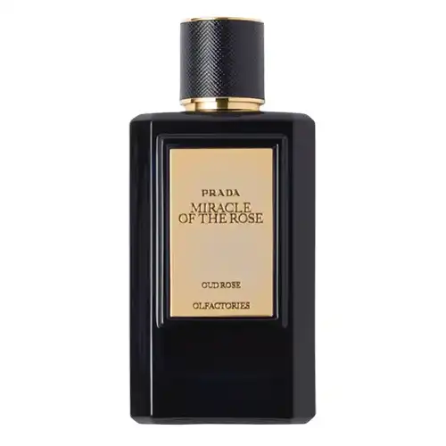 올팩토리스 레 미라주 미라클 오브 더 로즈