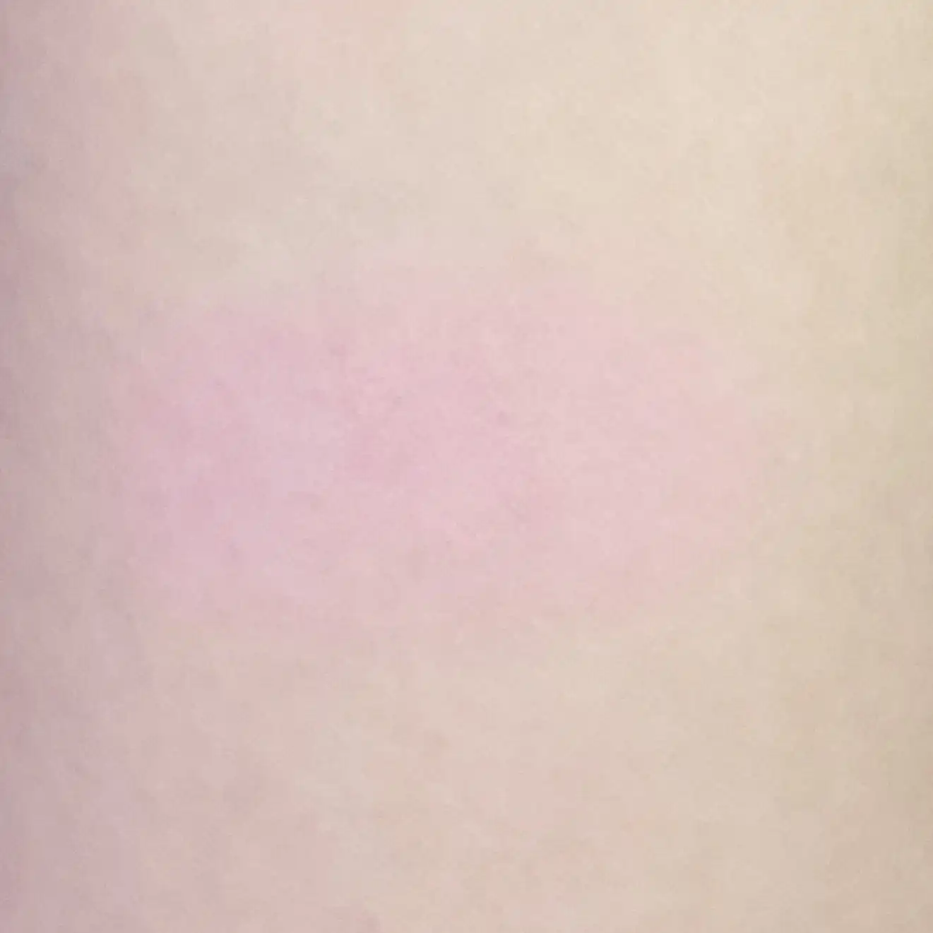 언니의파우치 리뷰 이미지 2 - [플러피 웨어 블러셔]