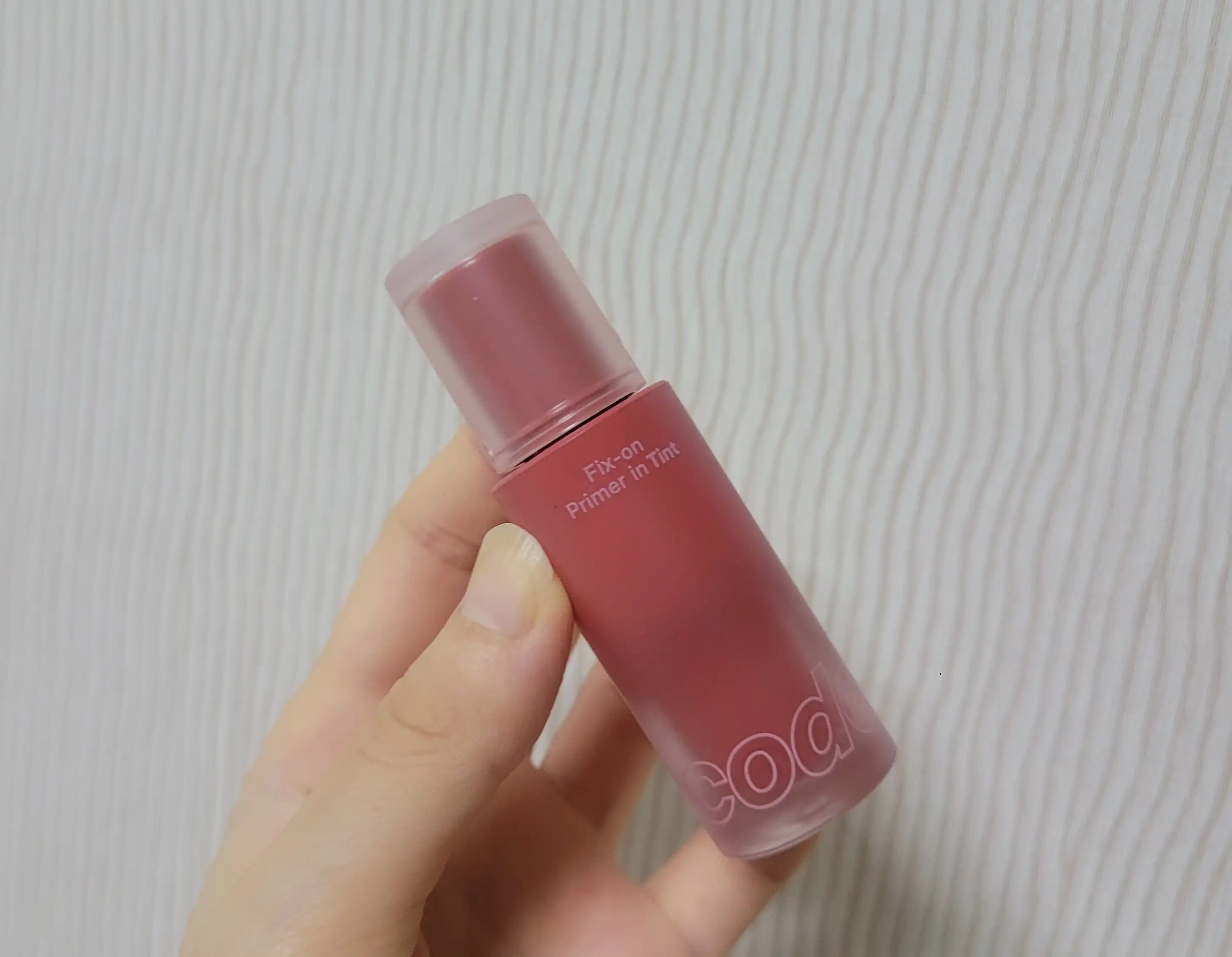 픽스온 프라이머 인 틴트