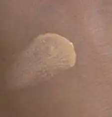 시카마누 세럼쿠션