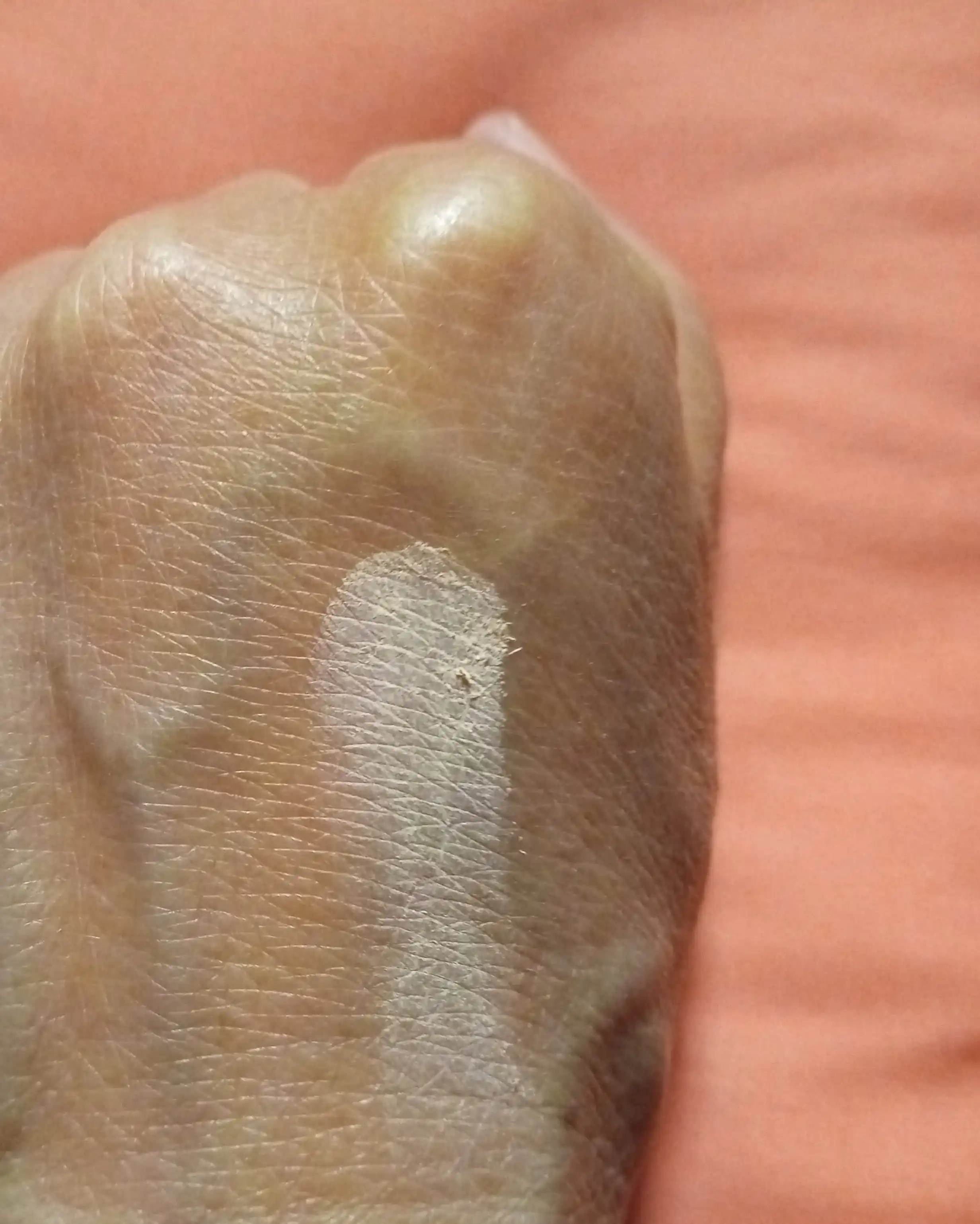 언니의파우치 리뷰 이미지 3 - [프로 터치 파우더 팩트]