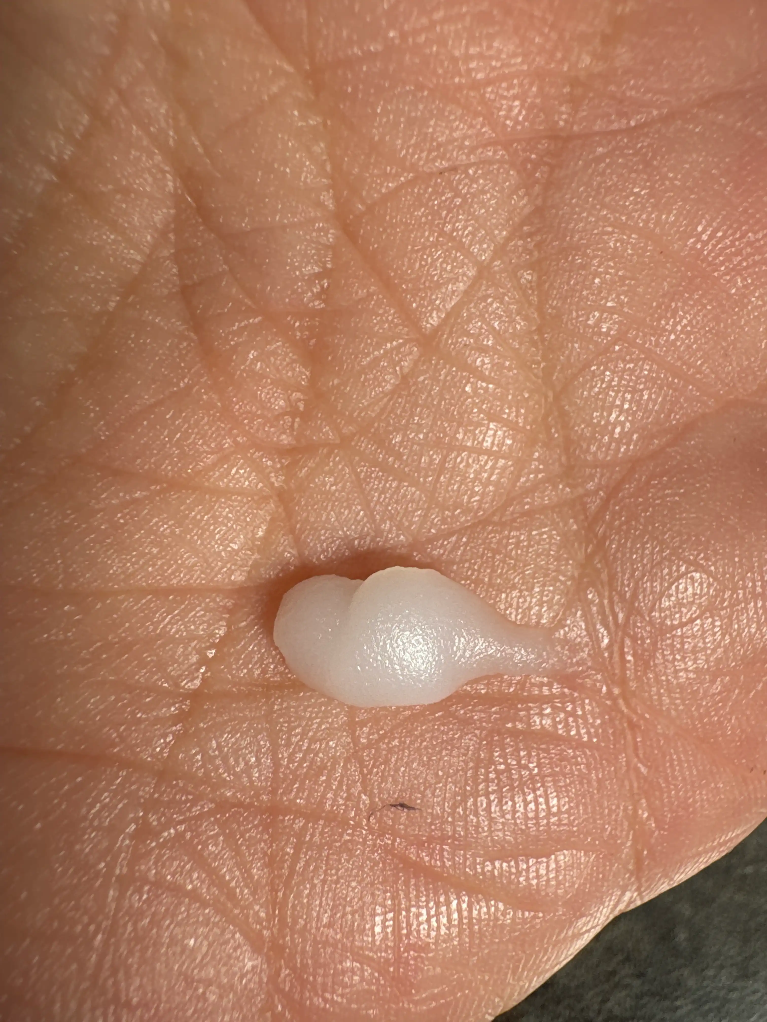 언니의파우치 리뷰 이미지 2 - [샌달우드 솔리드 퍼퓸]