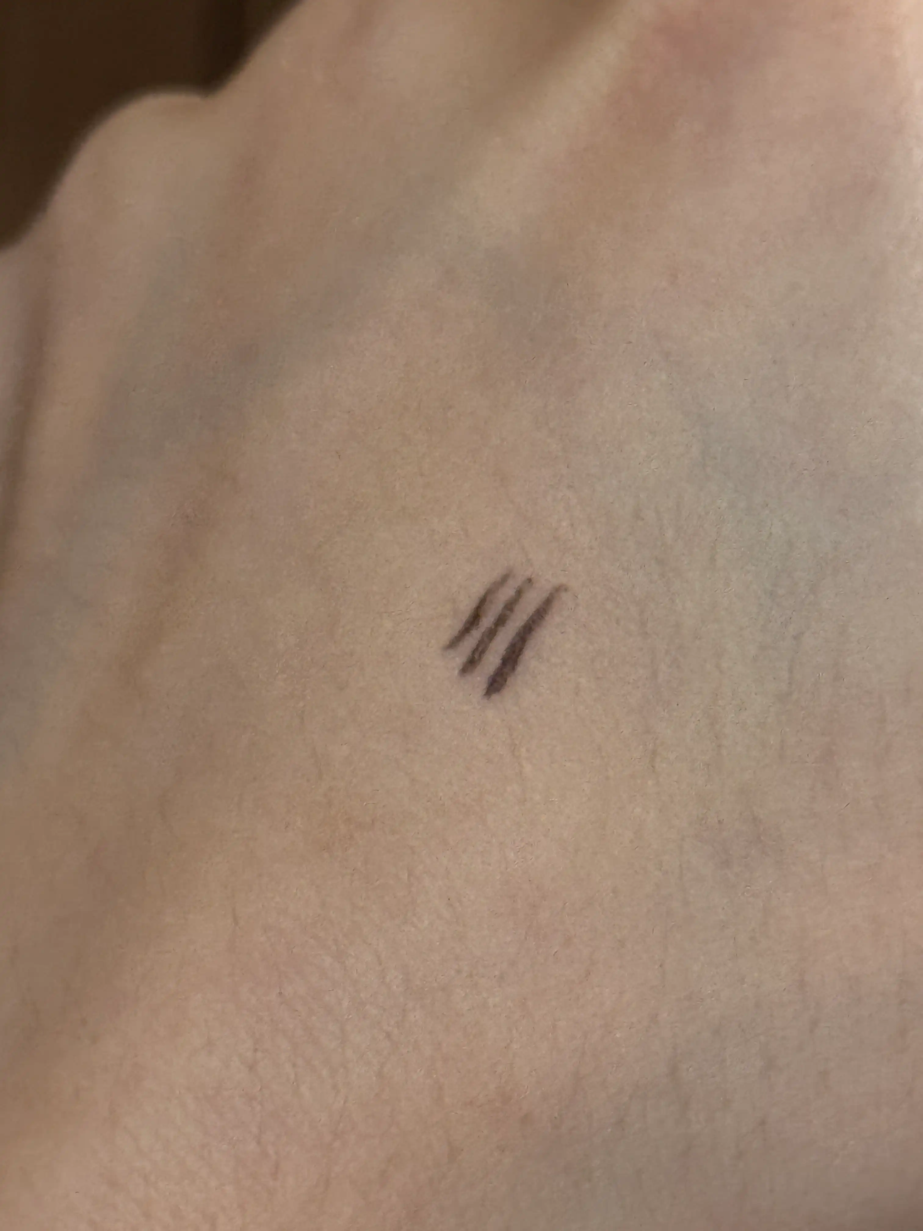 언니의파우치 리뷰 이미지 2 - [블랙 쿠션 파운데이션]