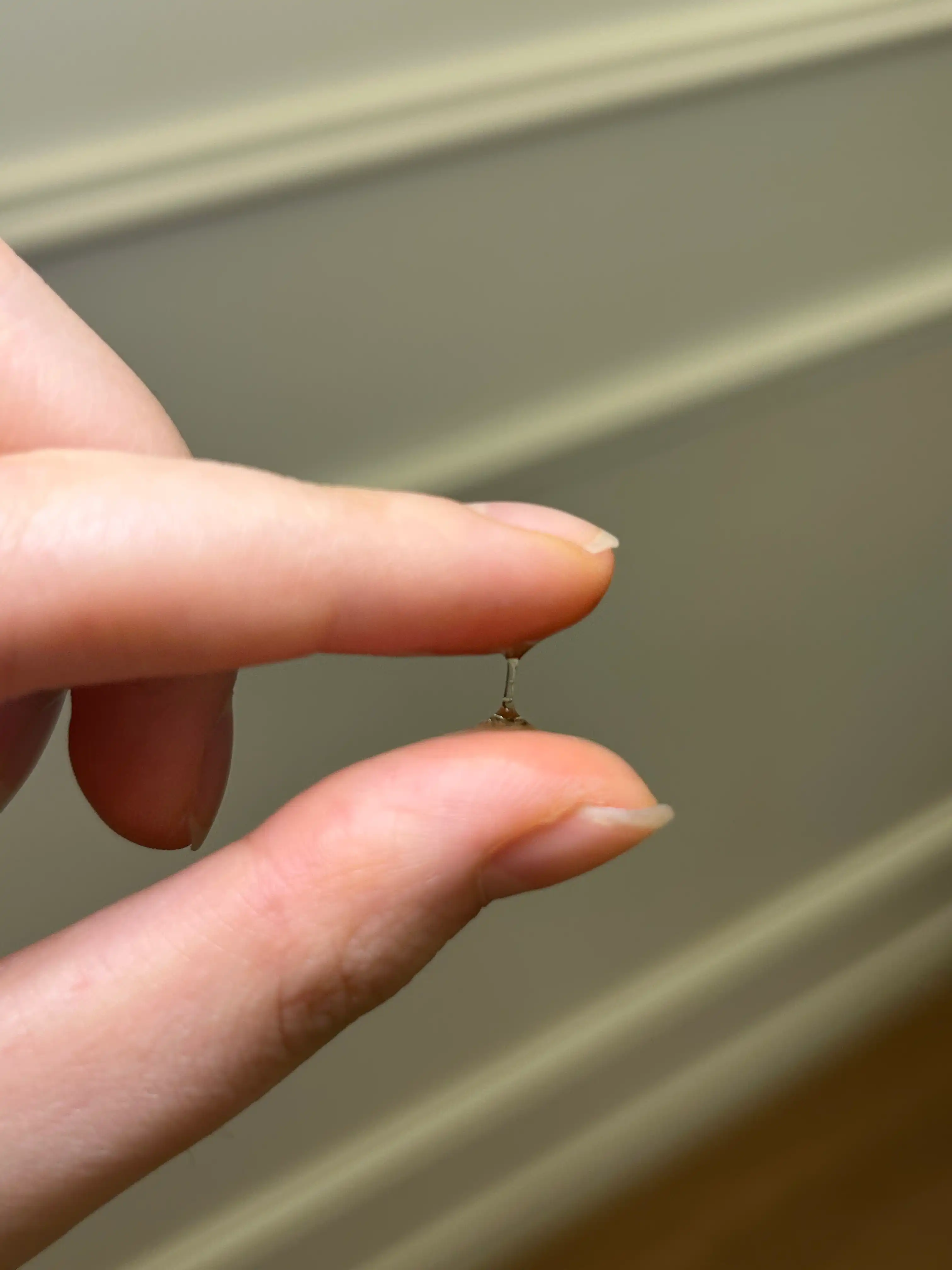 언니의파우치 리뷰 이미지 2 - [시카마누 92세럼]