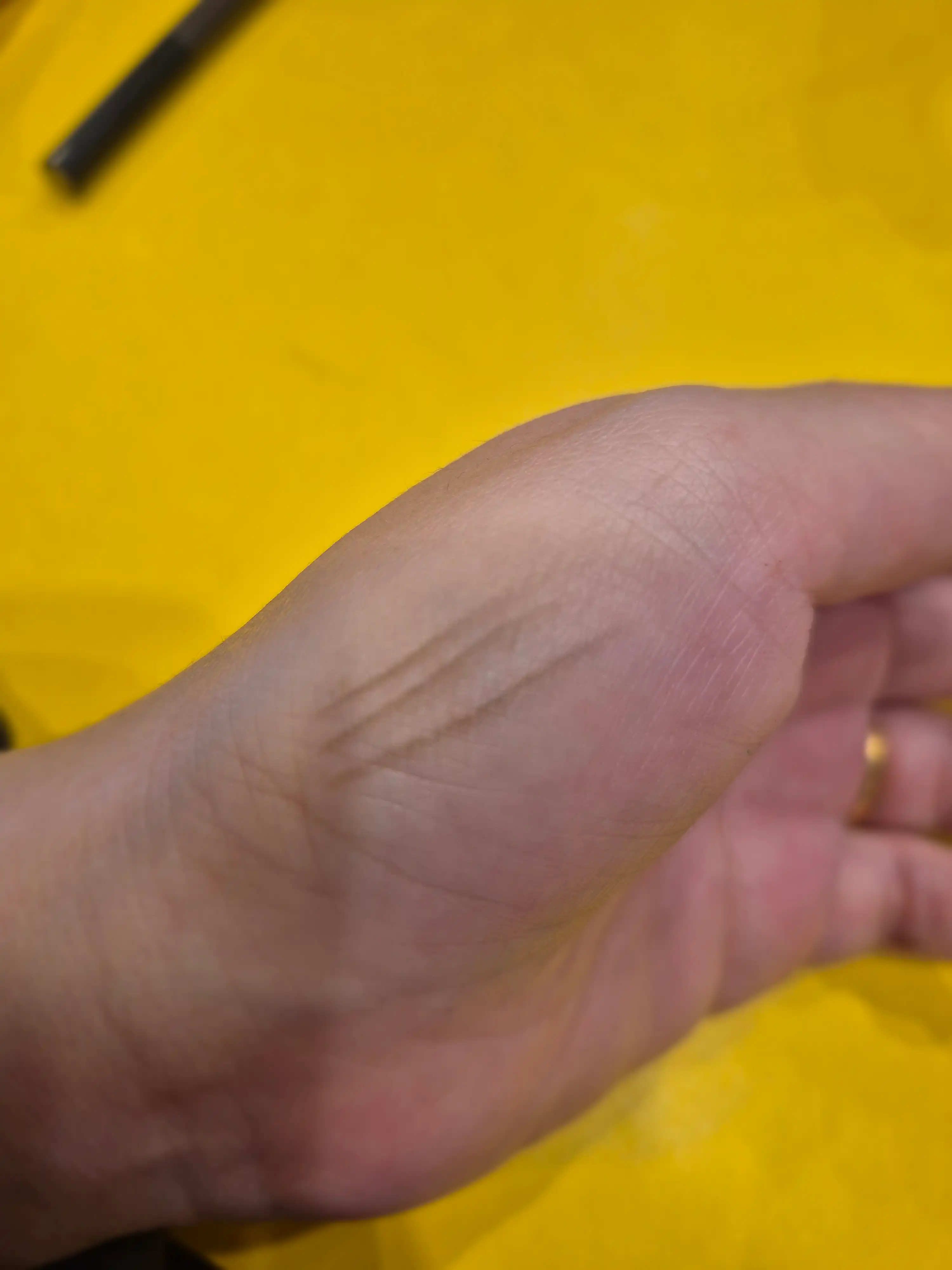 언니의파우치 리뷰 이미지 3 - [파우더 젯 듀얼 브로우]