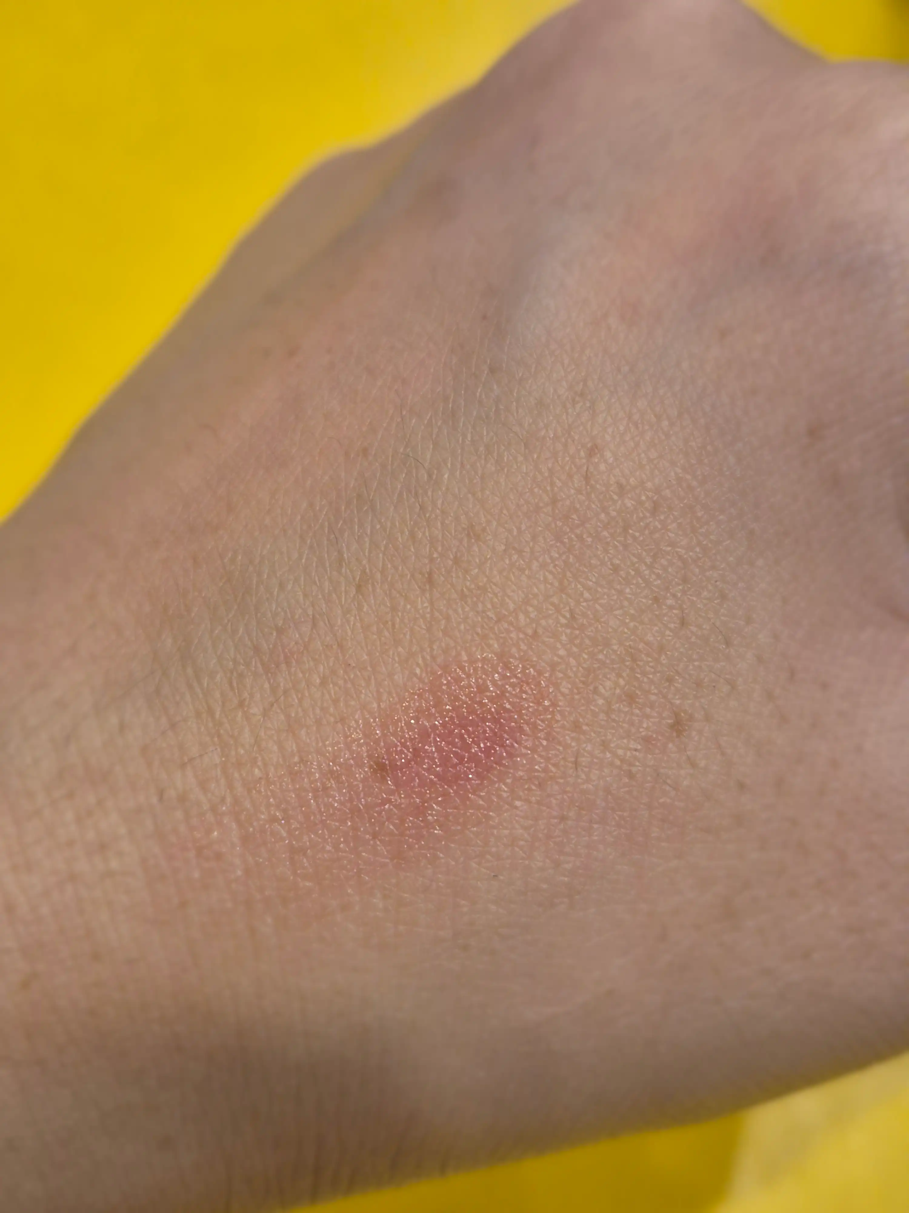 언니의파우치 리뷰 이미지 3 - [에센셜 립치크 탭]