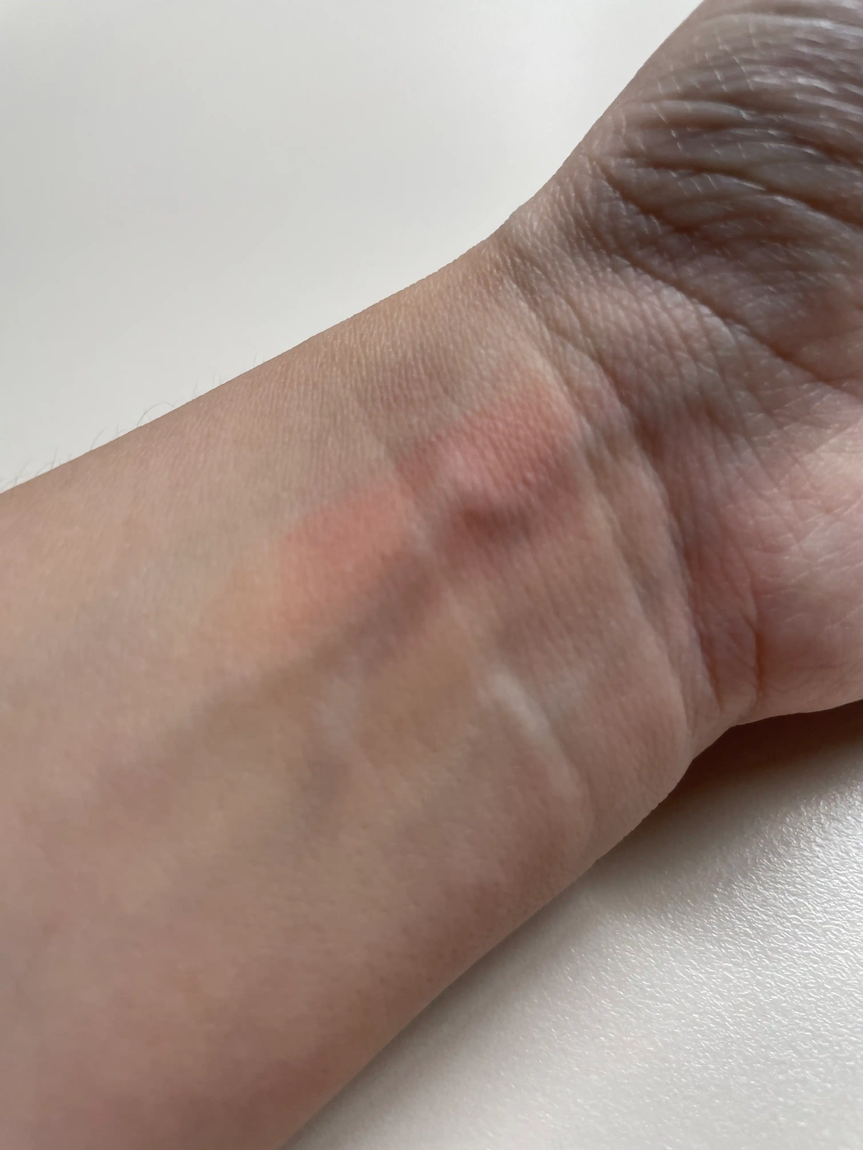 언니의파우치 리뷰 이미지 2 - [립앤치크 블러리 푸딩팟]