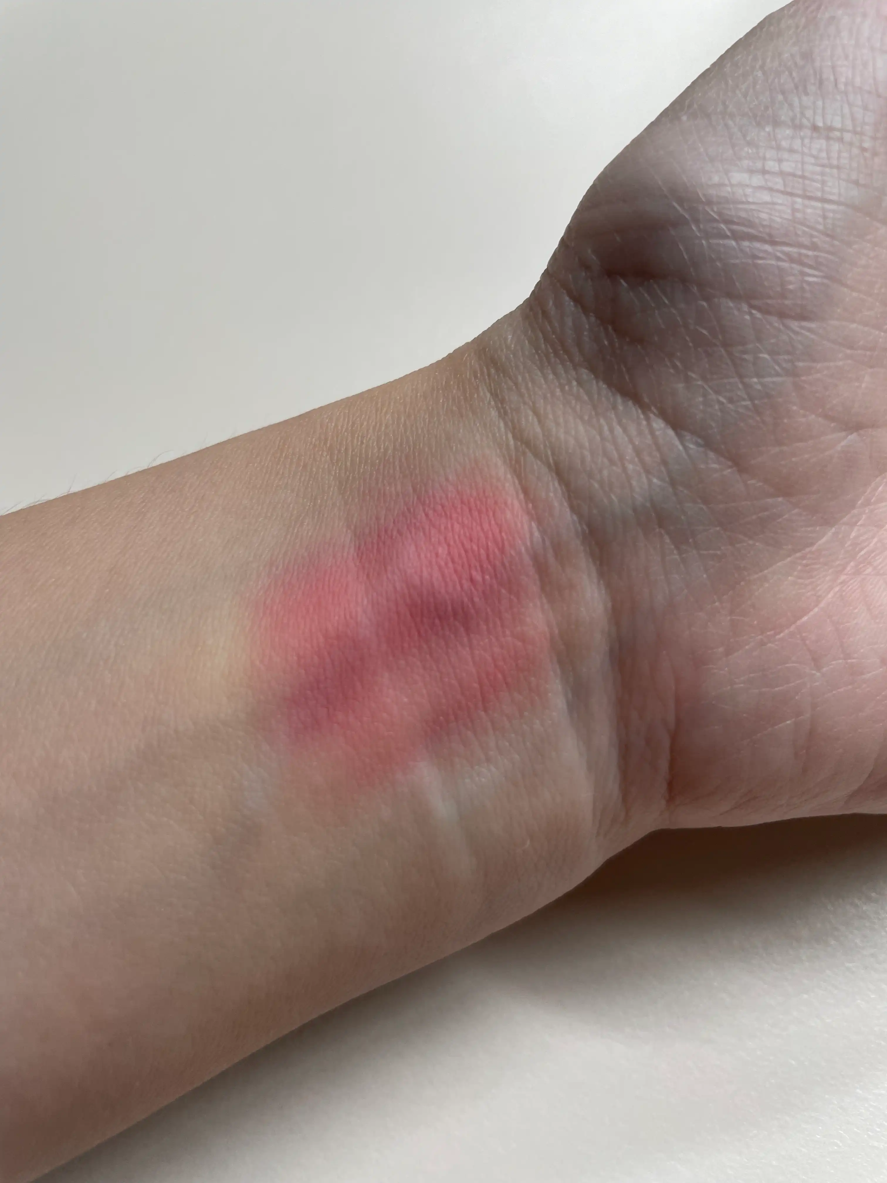 언니의파우치 리뷰 이미지 2 - [립앤치크 블러리 푸딩팟]