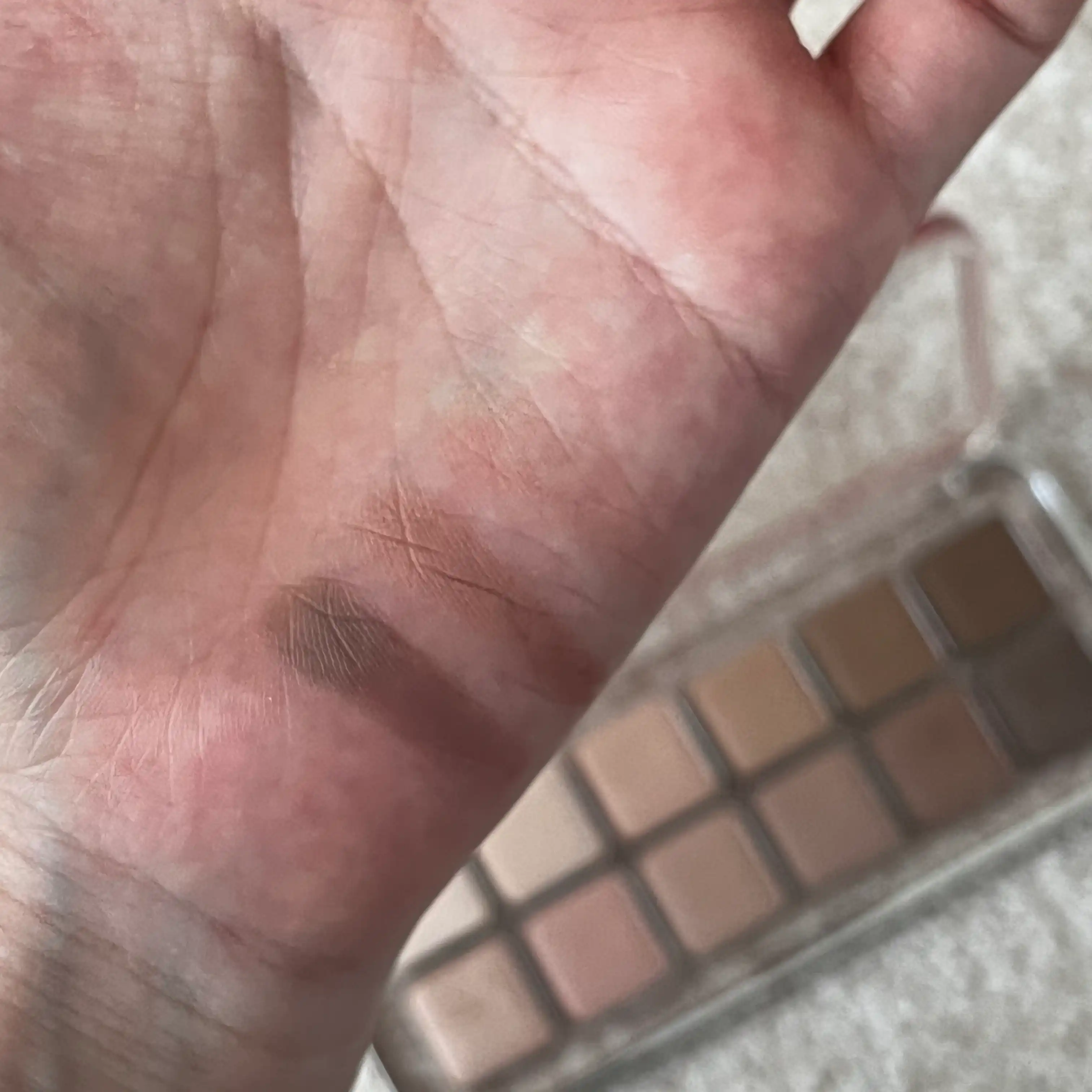 언니의파우치 리뷰 이미지 2 - [프로 아이 팔레트 에어]