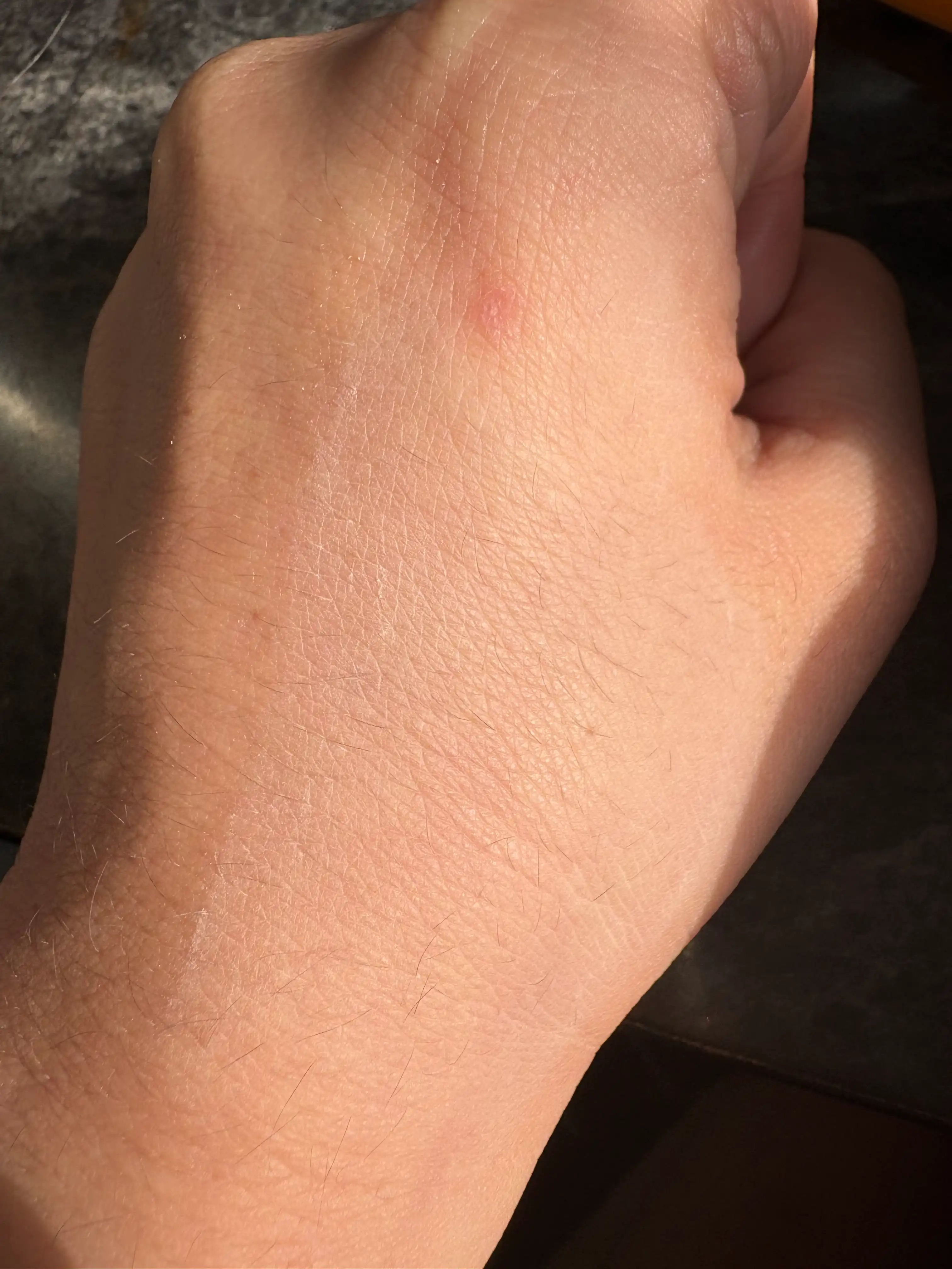 언니의파우치 리뷰 이미지 3 - [블러 파우더 팩트]