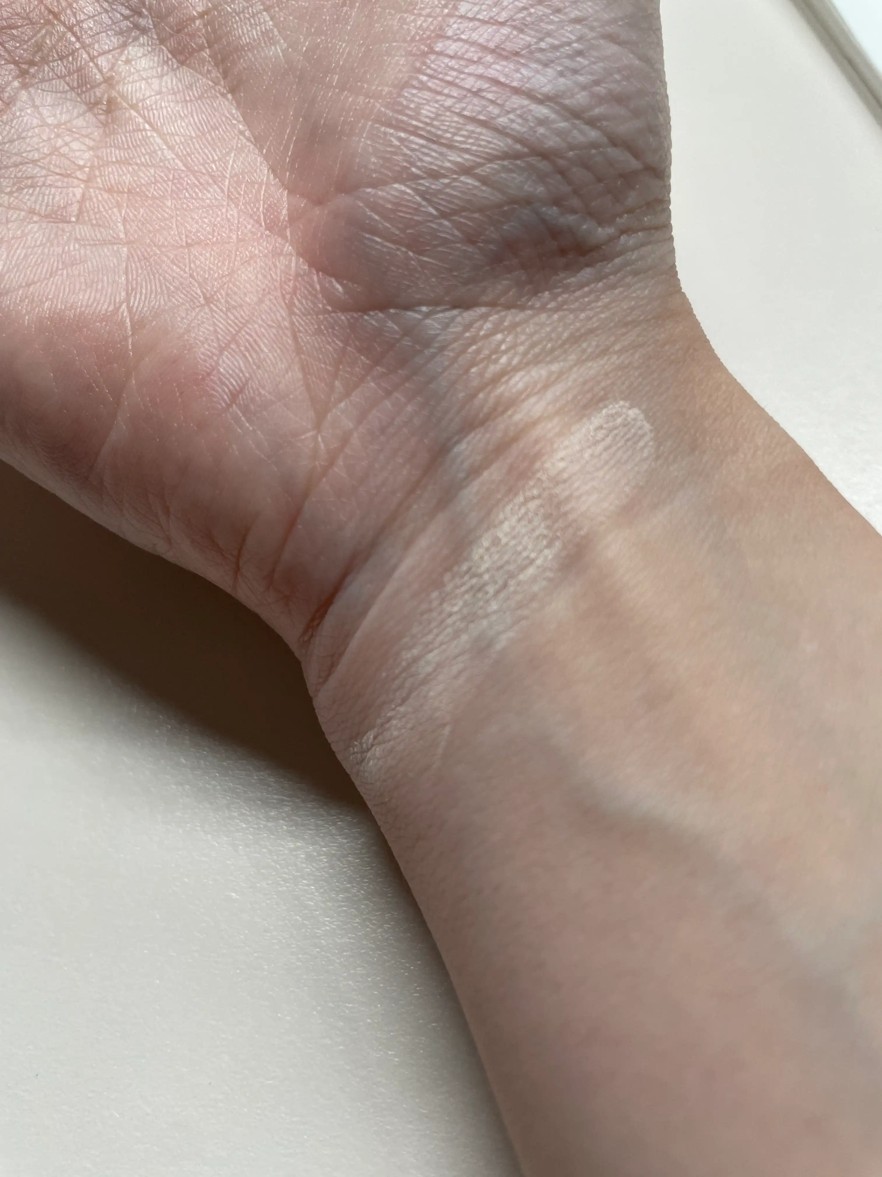 언니의파우치 리뷰 이미지 3 - [블러 파우더 팩트]