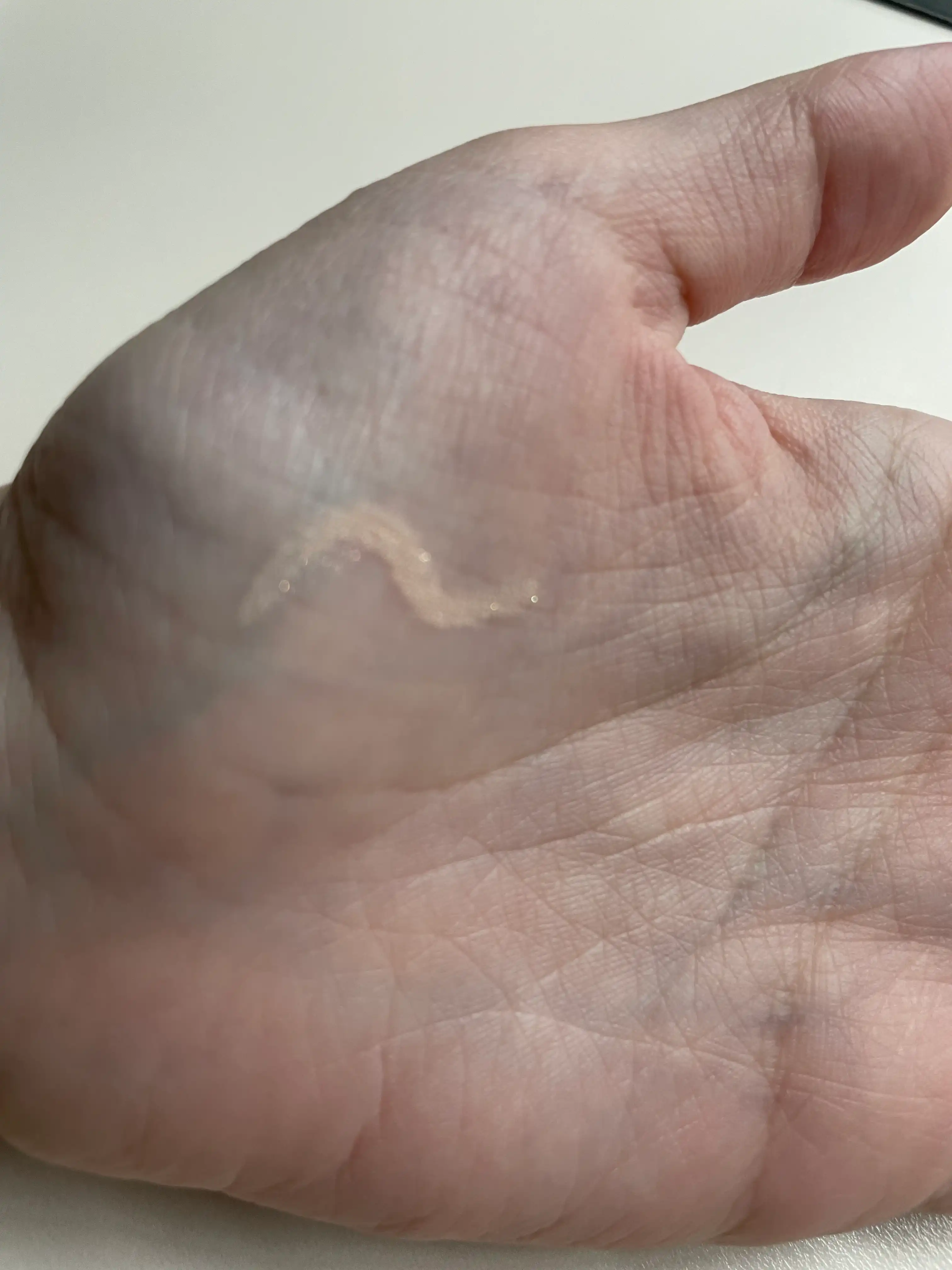 언니의파우치 리뷰 이미지 2 - [프로타주 펜슬]