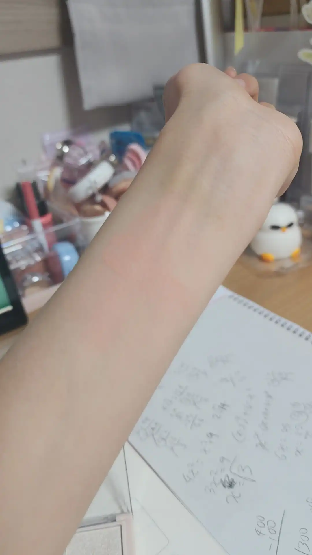 언니의파우치 리뷰 이미지 3 - [무드 블러쉬 빔]