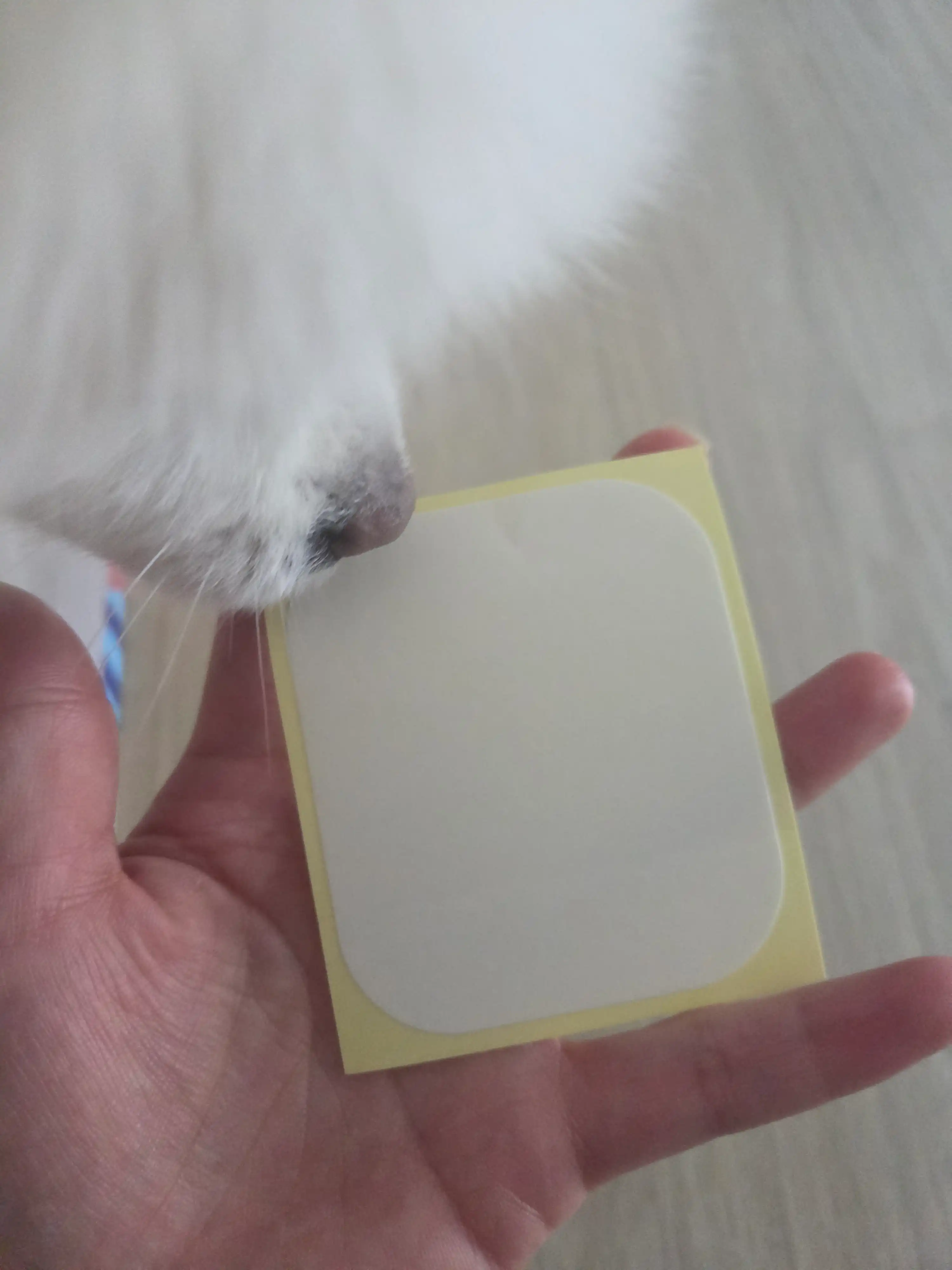 언니의파우치 리뷰 이미지 3 - [스탑웻]