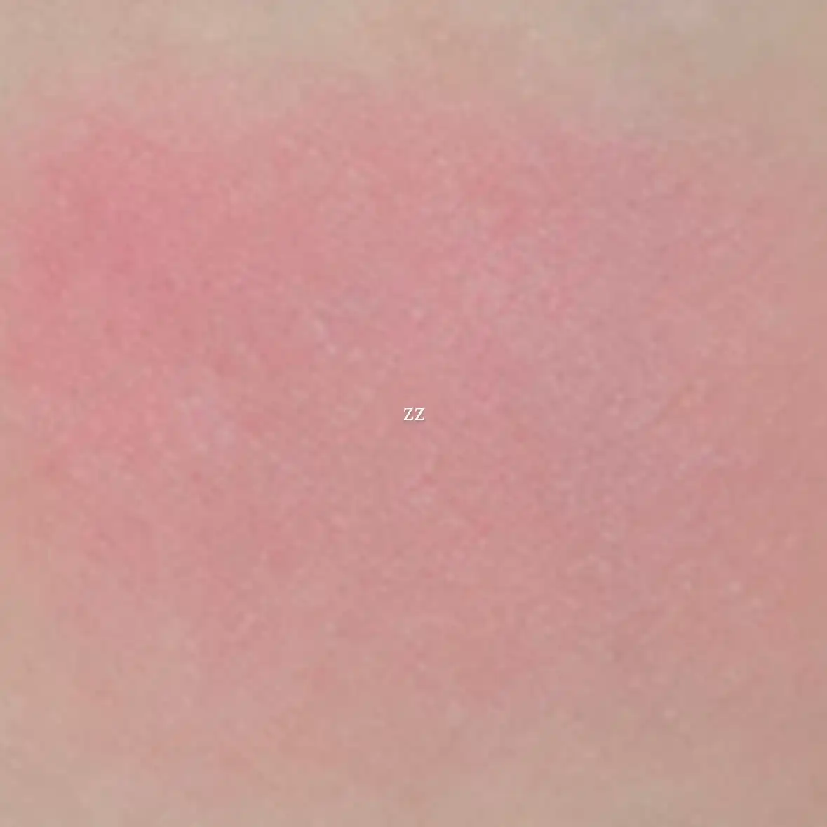 언니의파우치 리뷰 이미지 4 - [(로즈 에디션) 맑게 물든 선샤인 치크]