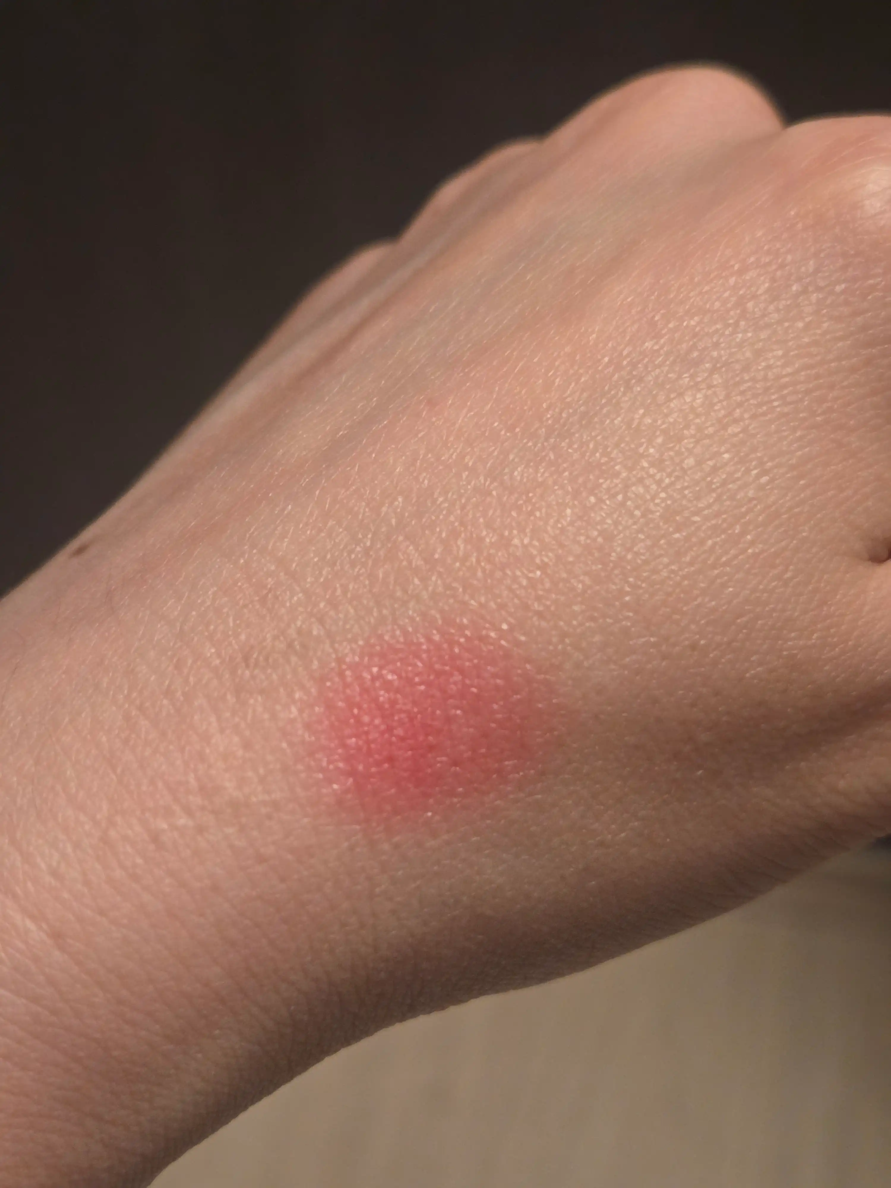 언니의파우치 리뷰 이미지 3 - [포터블 오버립 브러시 932]