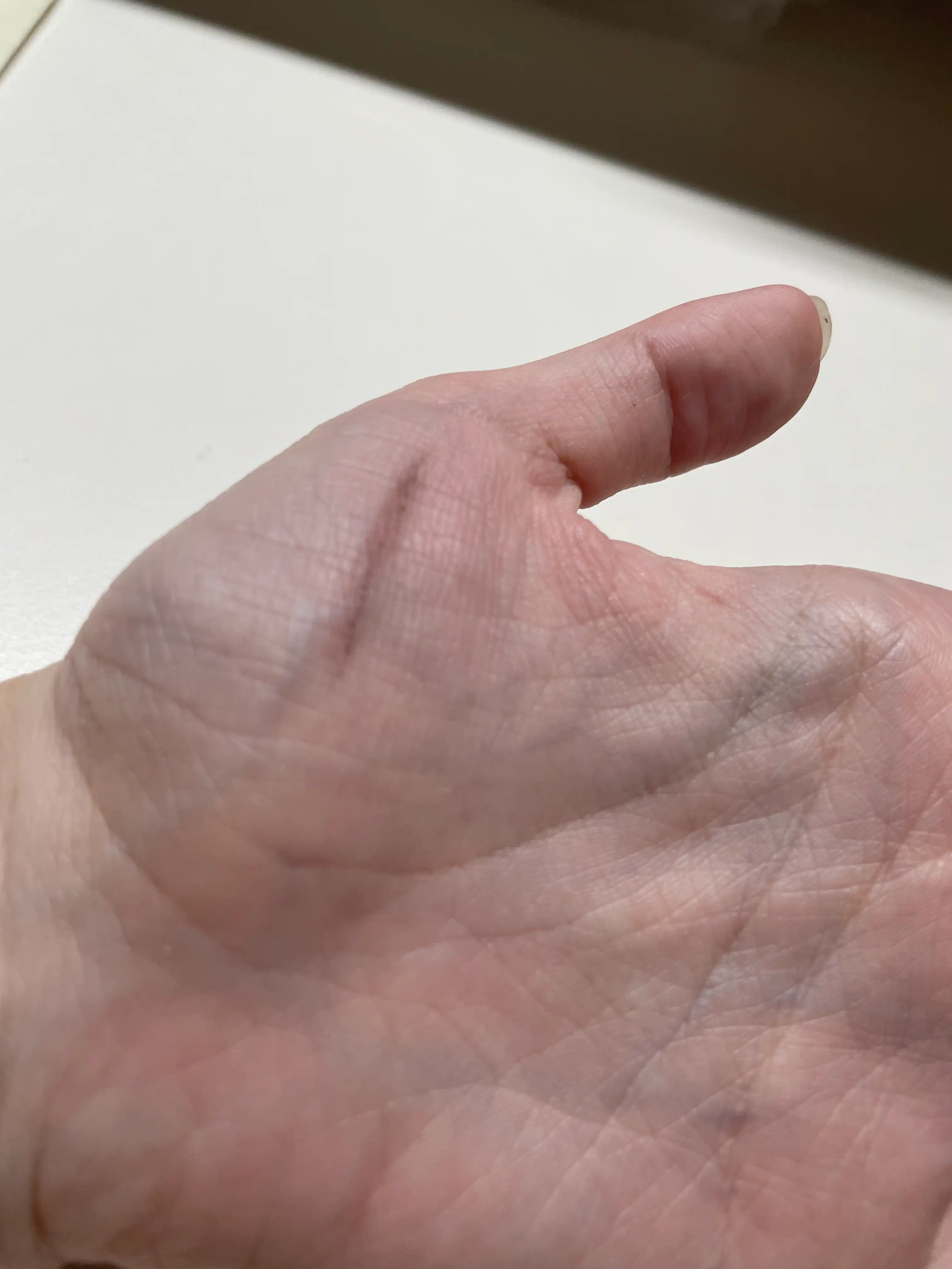 언니의파우치 리뷰 이미지 2 - [내추럴 하드 브로우 펜슬]