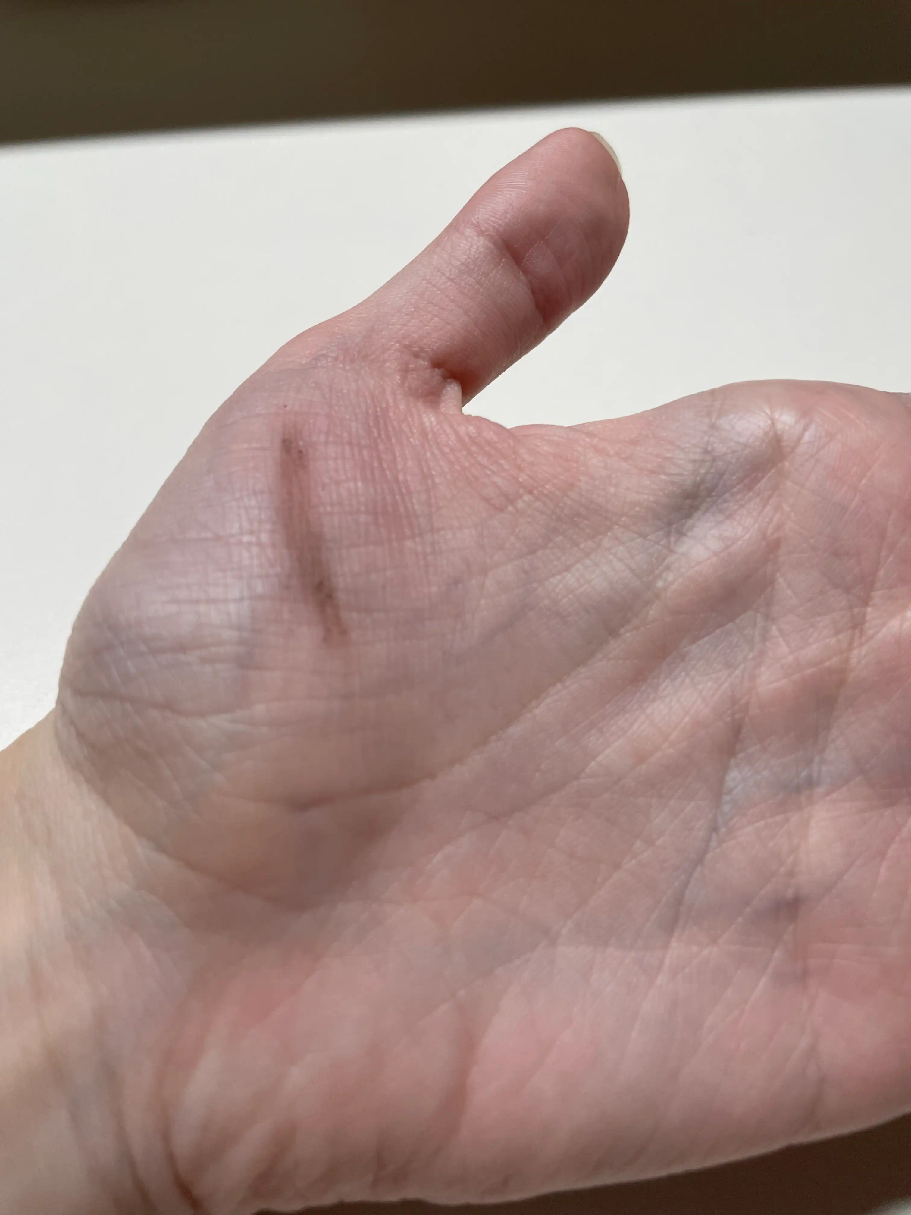 언니의파우치 리뷰 이미지 2 - [매트 포뮬라 아이 브로우 펜슬 [6호 다크브라운/흑갈색]]