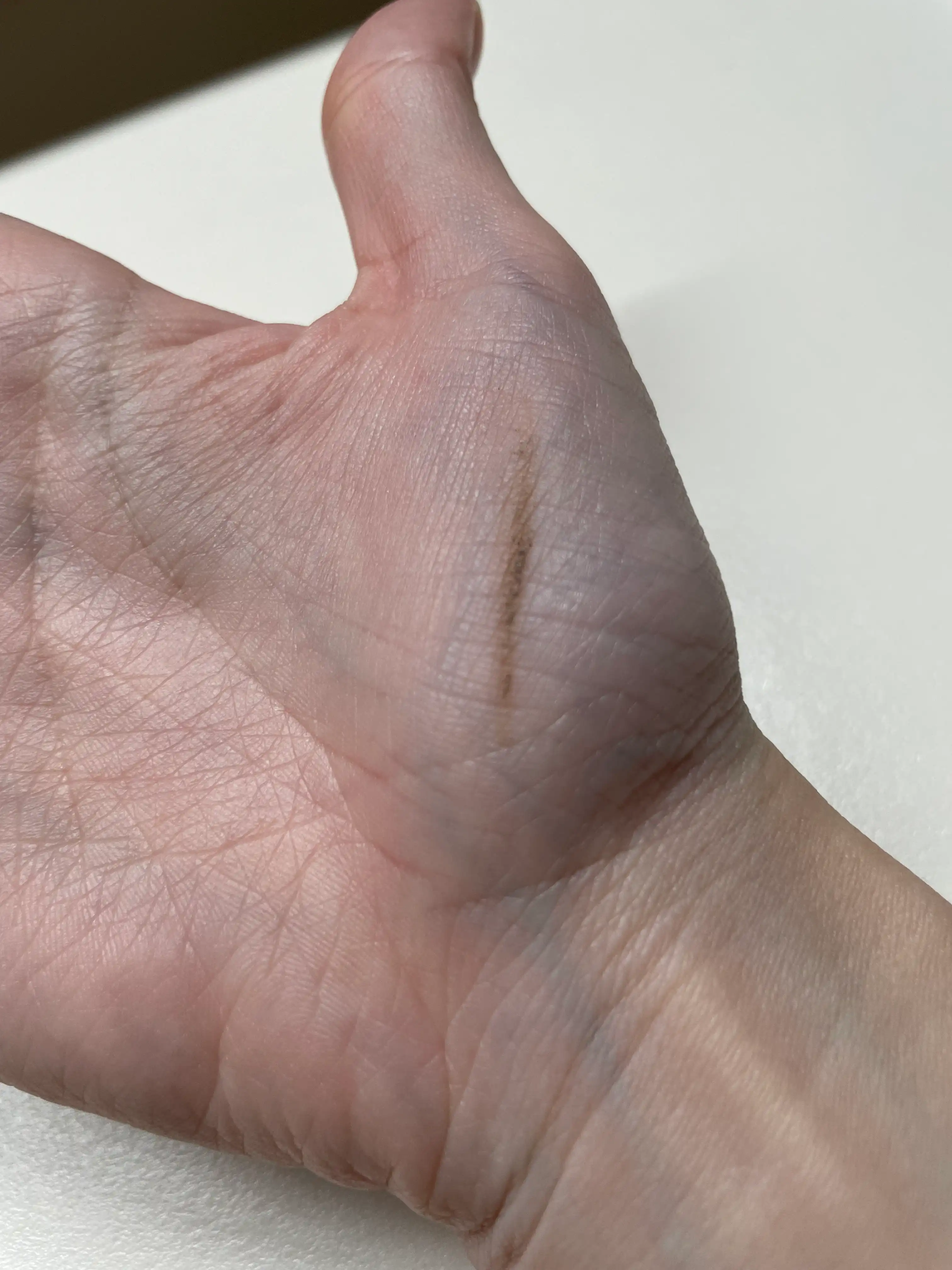 언니의파우치 리뷰 이미지 2 - [매트 포뮬라 아이 브로우 펜슬 [1호 라이트브라운(연갈색)]]