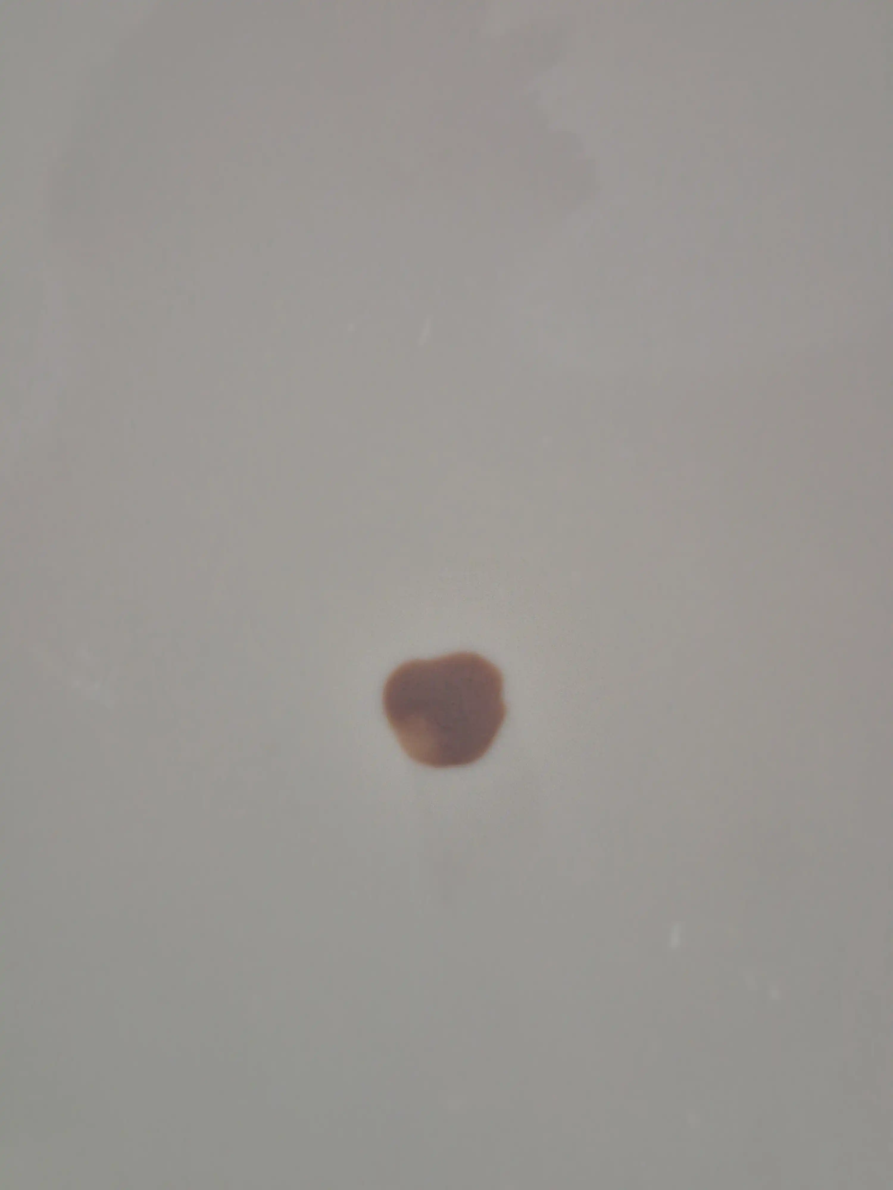 언니의파우치 리뷰 이미지 3 - [컬러젤]