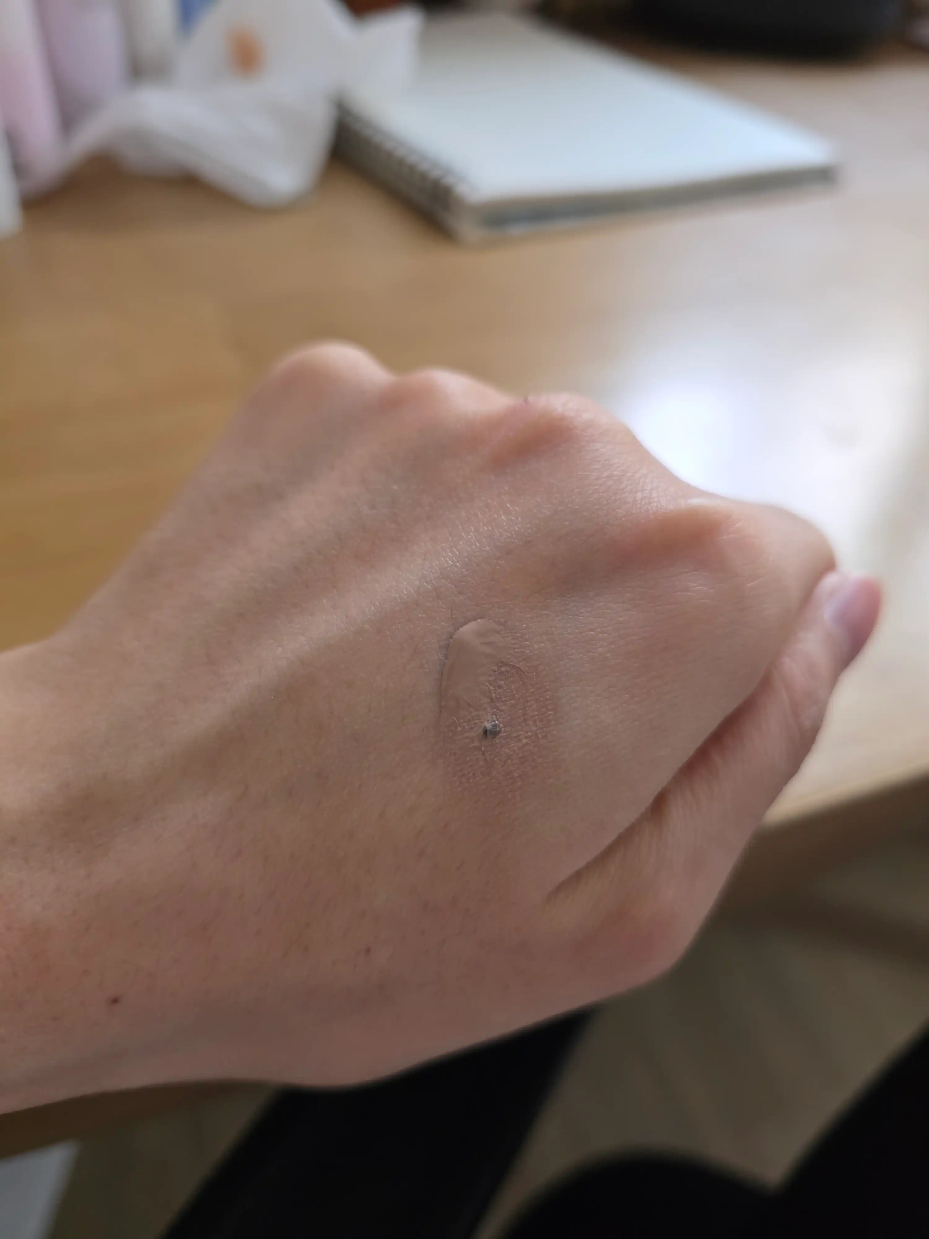 언니의파우치 리뷰 이미지 3 - [비비크림]