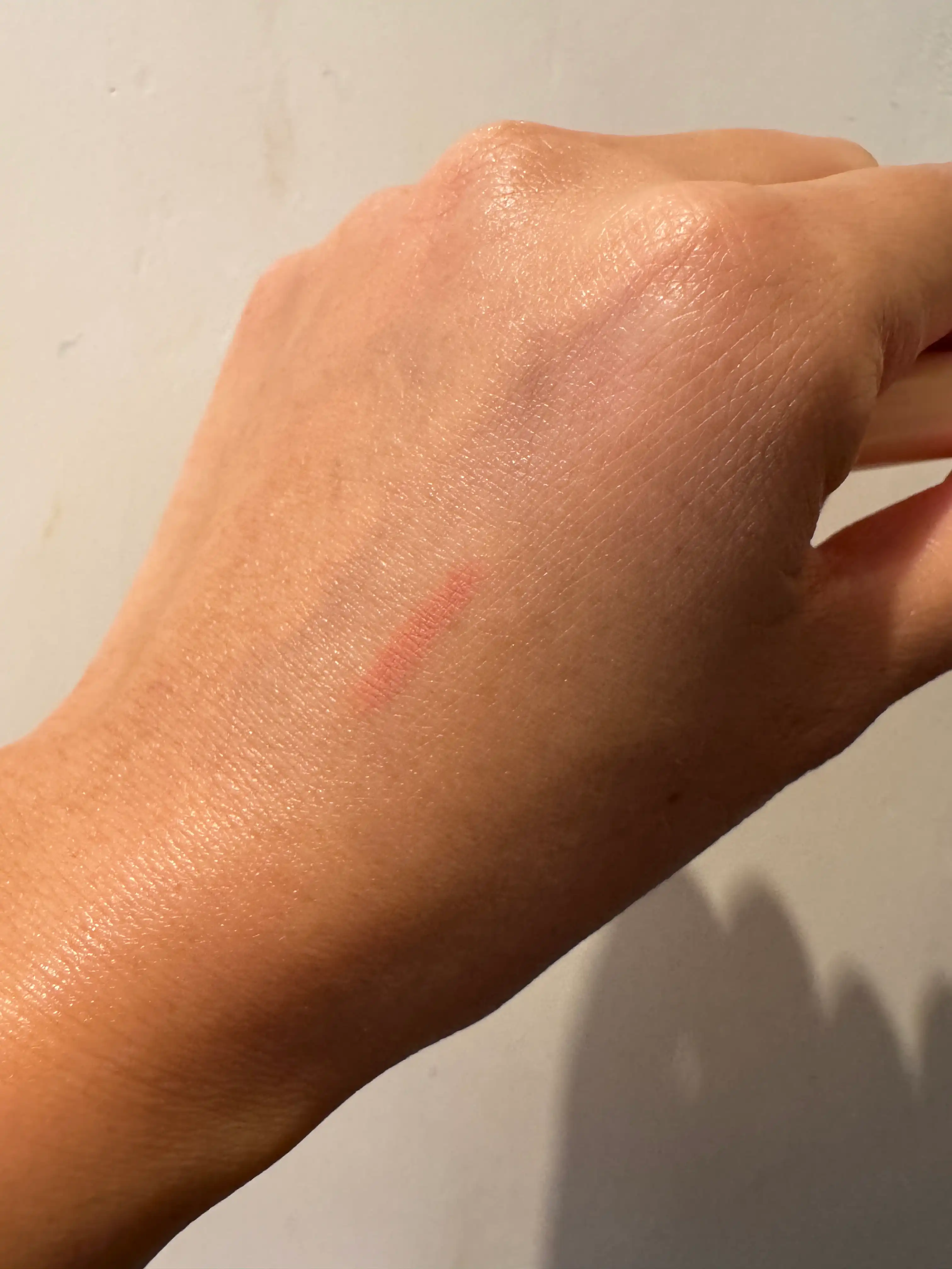 언니의파우치 리뷰 이미지 3 - [올인원 오버립 메이커 ]